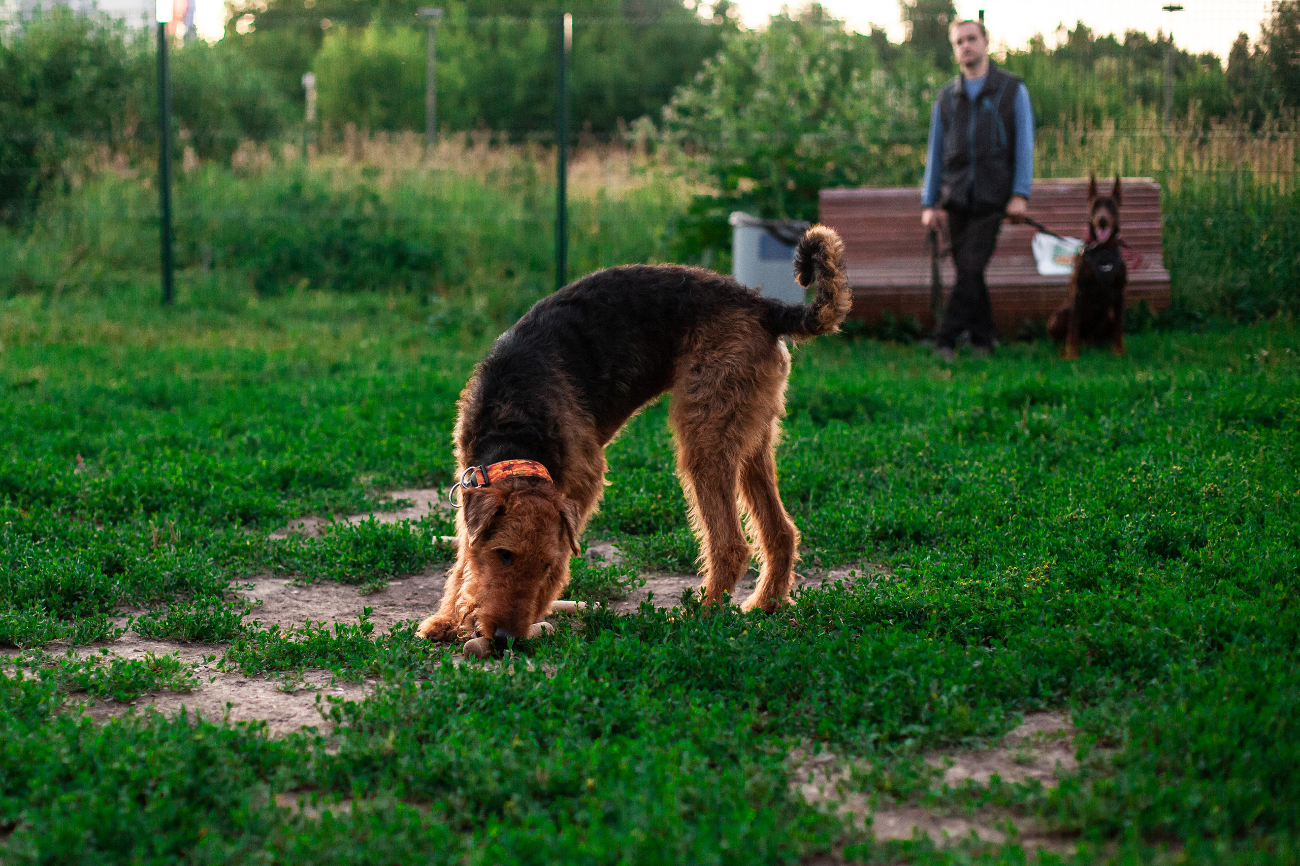 Занятие ЗКС+Выборка 2022. Фотограф-анималист Татьяна Степанова