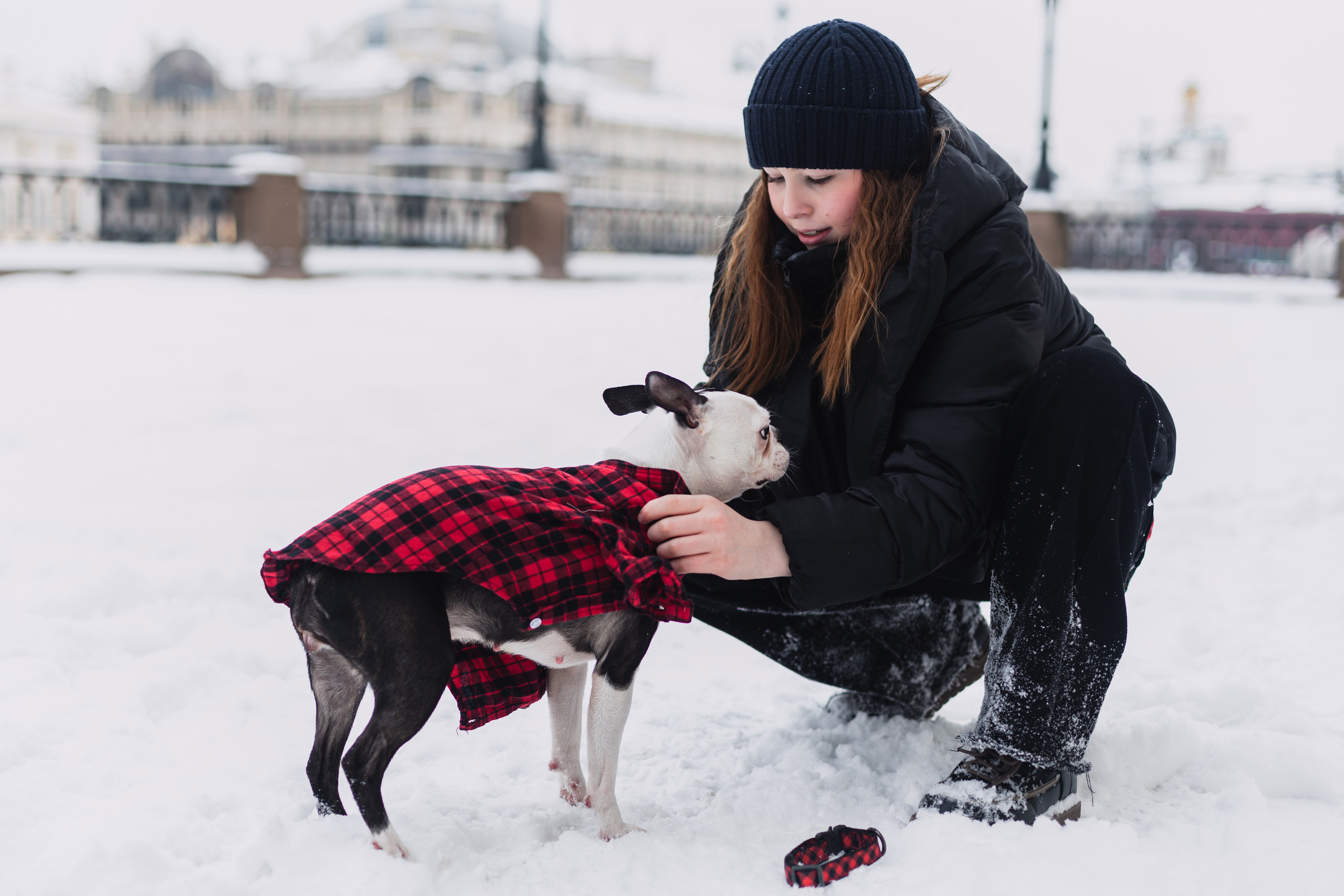 Василиса и Мира Кузнецкий мост. Фотограф-анималист Татьяна Степанова