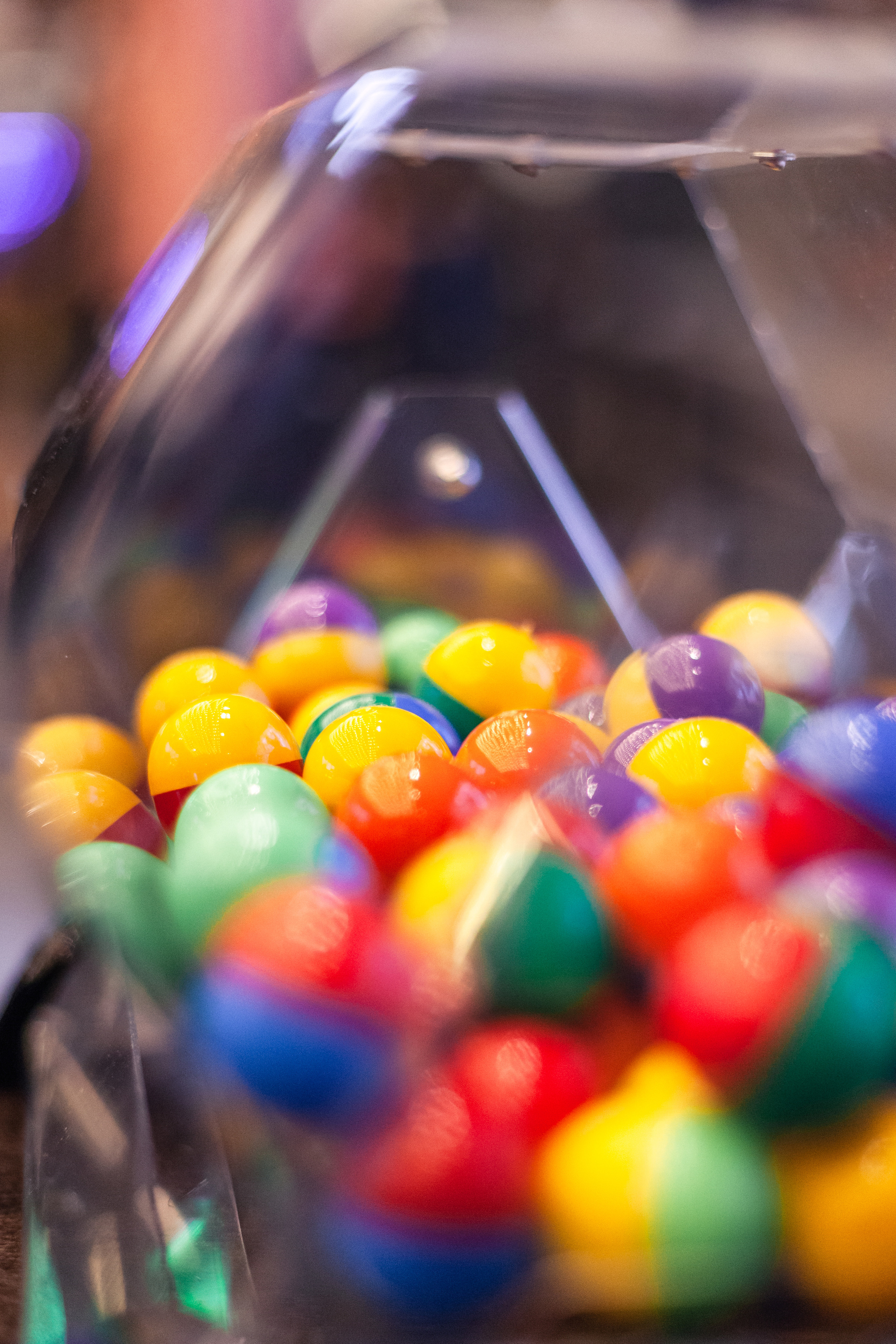 Бульелка 2022. Фотограф-анималист Татьяна Степанова