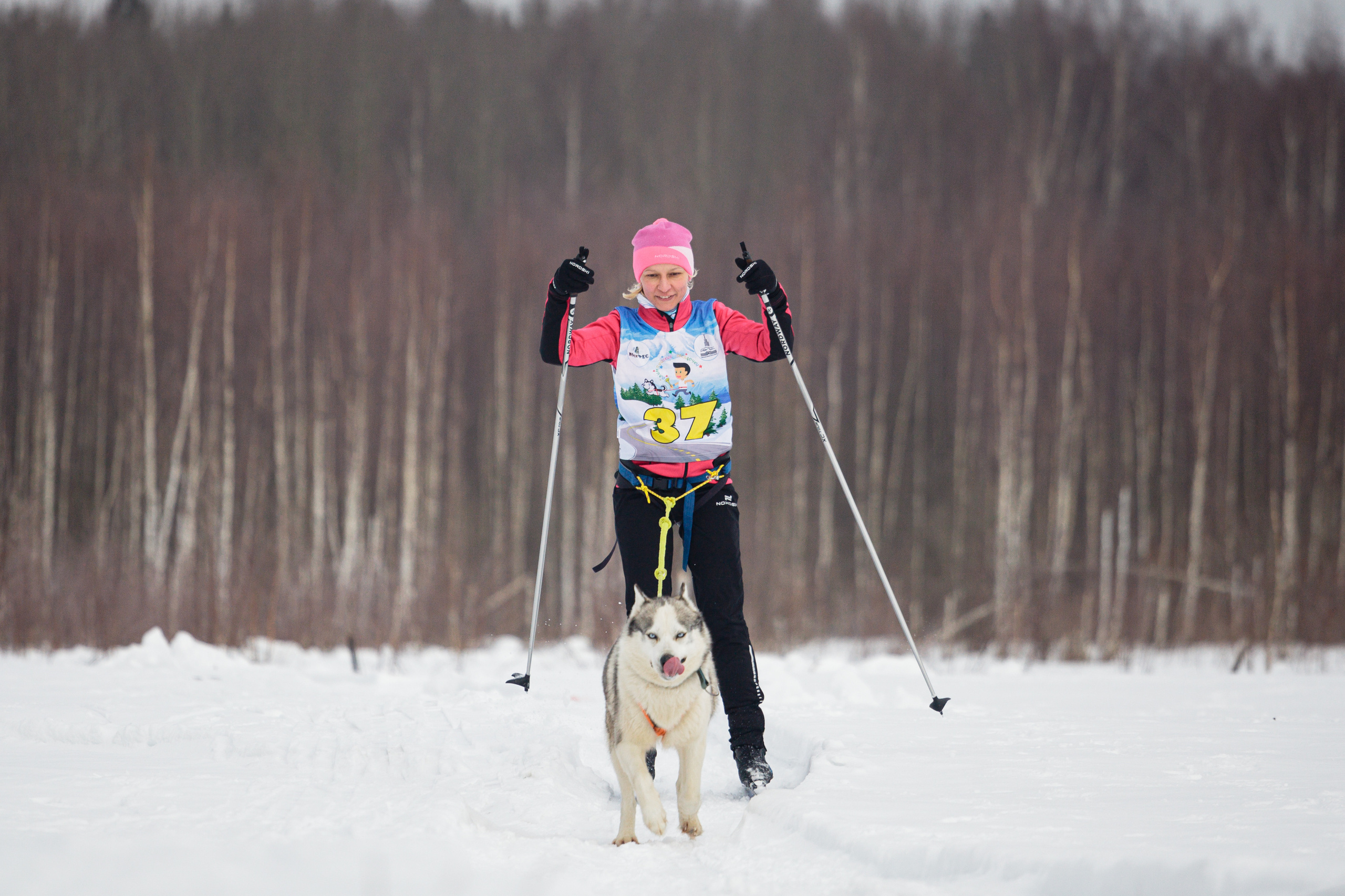 Холодные игры 28 февраля 2022. Фотограф-анималист Татьяна Степанова
