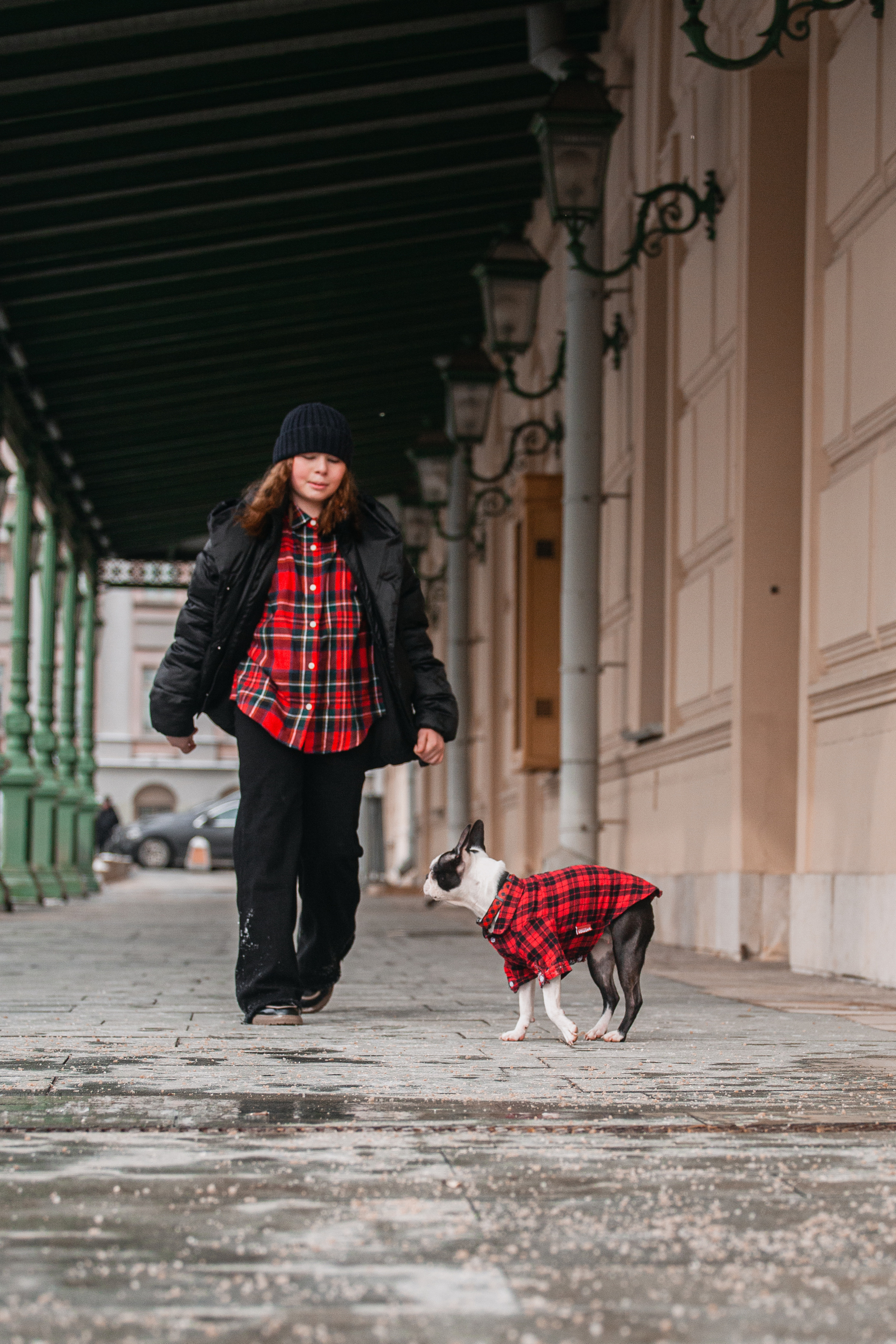Василиса и Мира Кузнецкий мост. Фотограф-анималист Татьяна Степанова