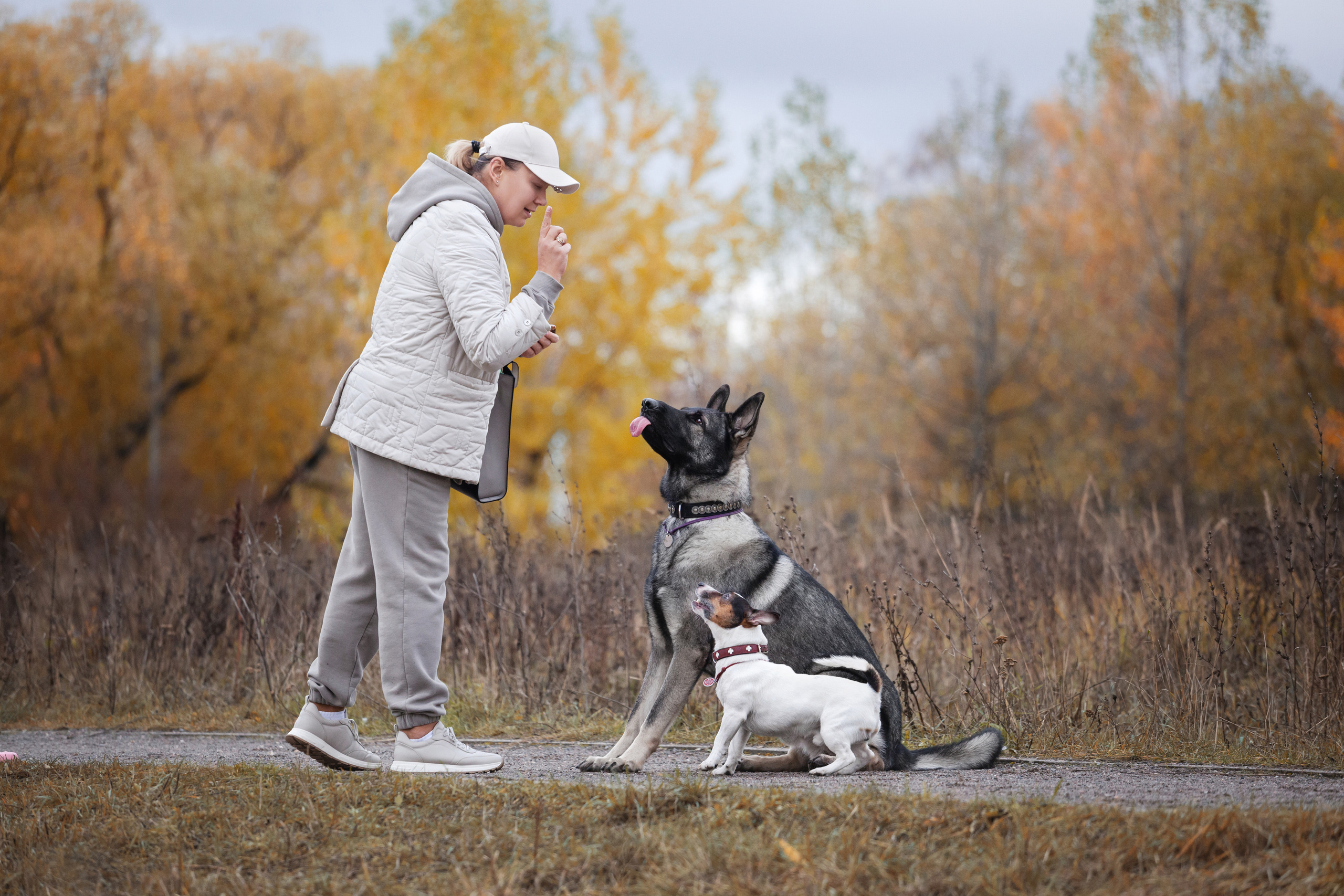 Женя, Скай и Арти в ПКИО Северное Тушино. Фотограф-анималист Татьяна Степанова