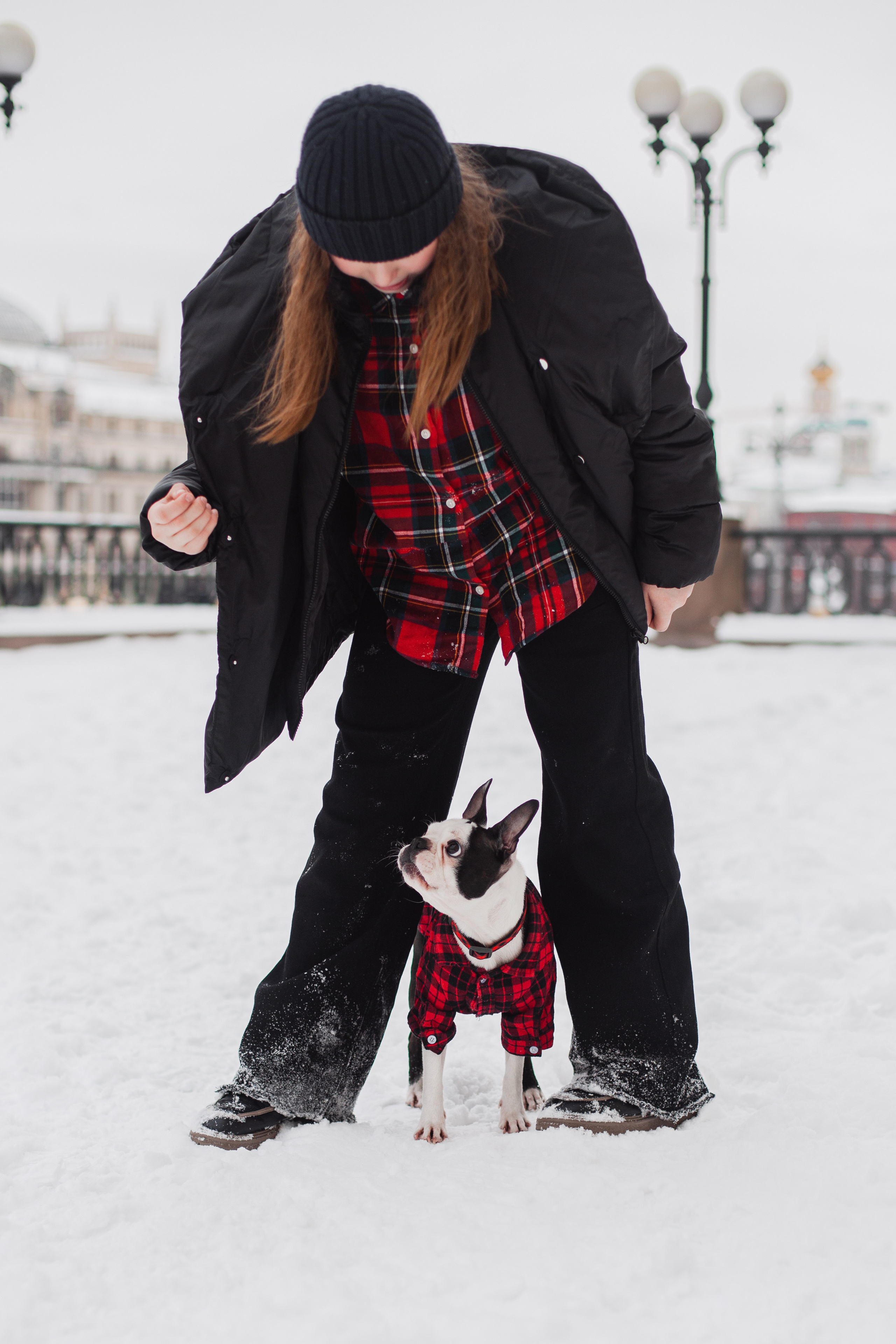 Василиса и Мира Кузнецкий мост. Фотограф-анималист Татьяна Степанова