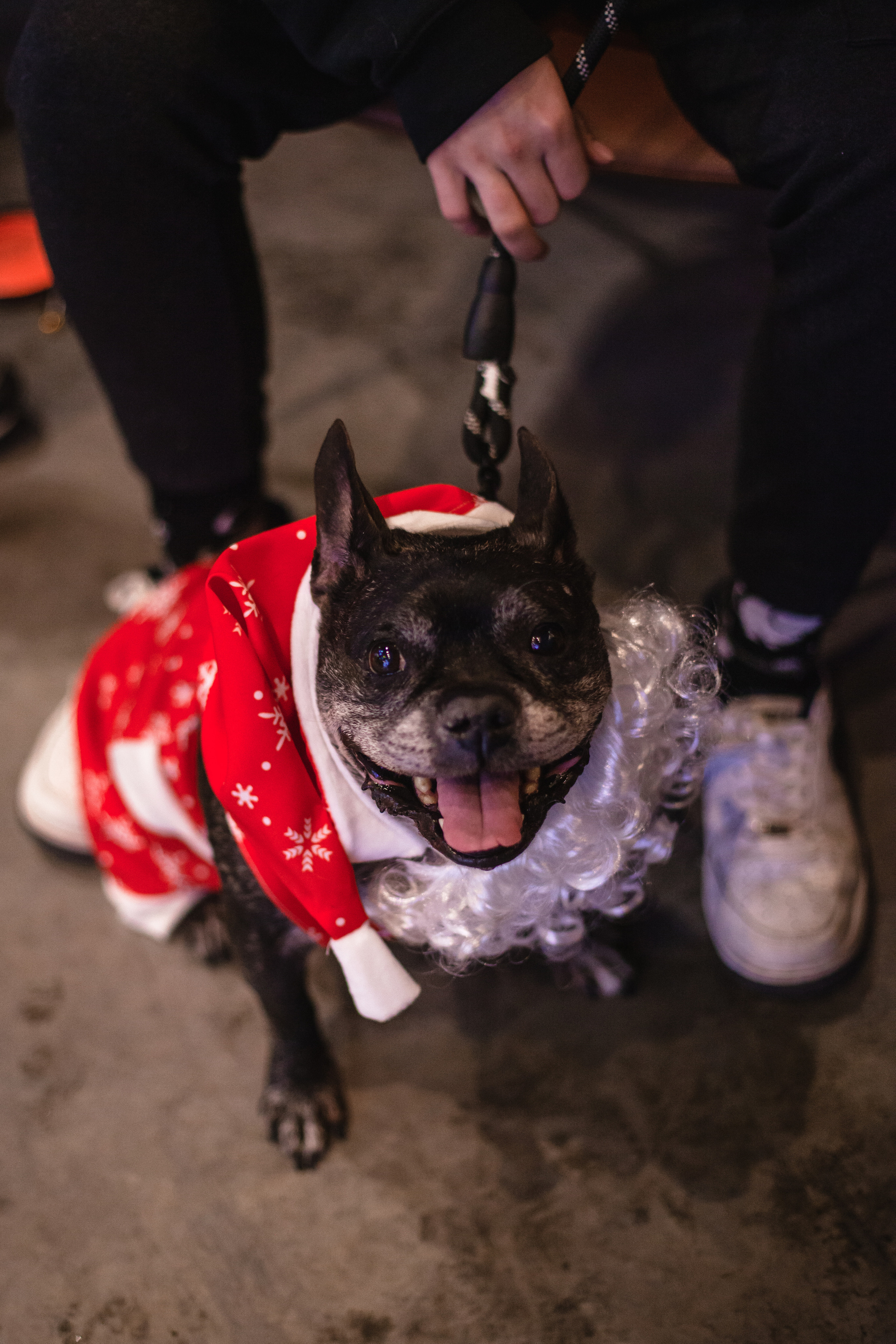 Бульелка 2022. Фотограф-анималист Татьяна Степанова