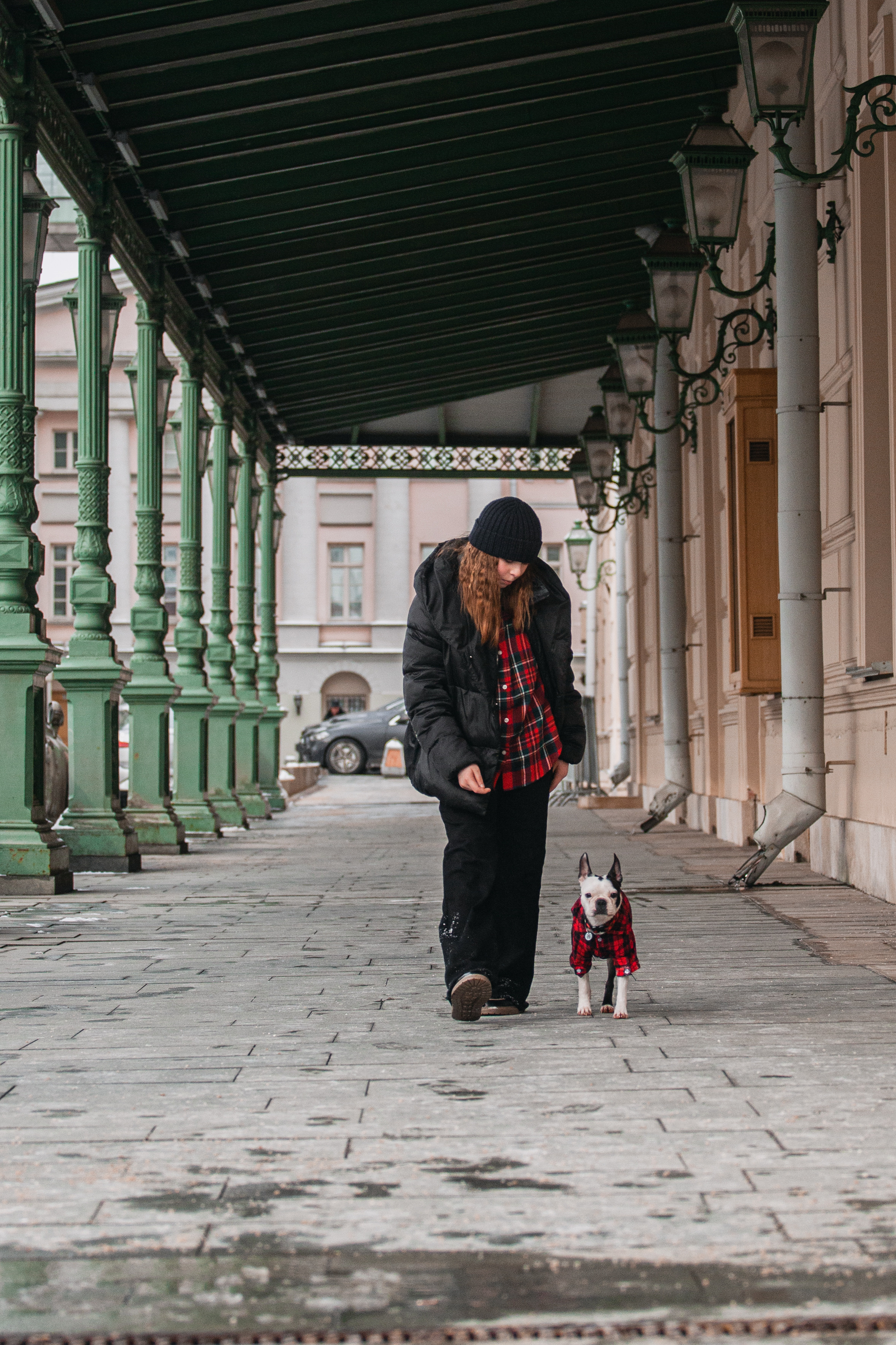 Василиса и Мира Кузнецкий мост. Фотограф-анималист Татьяна Степанова