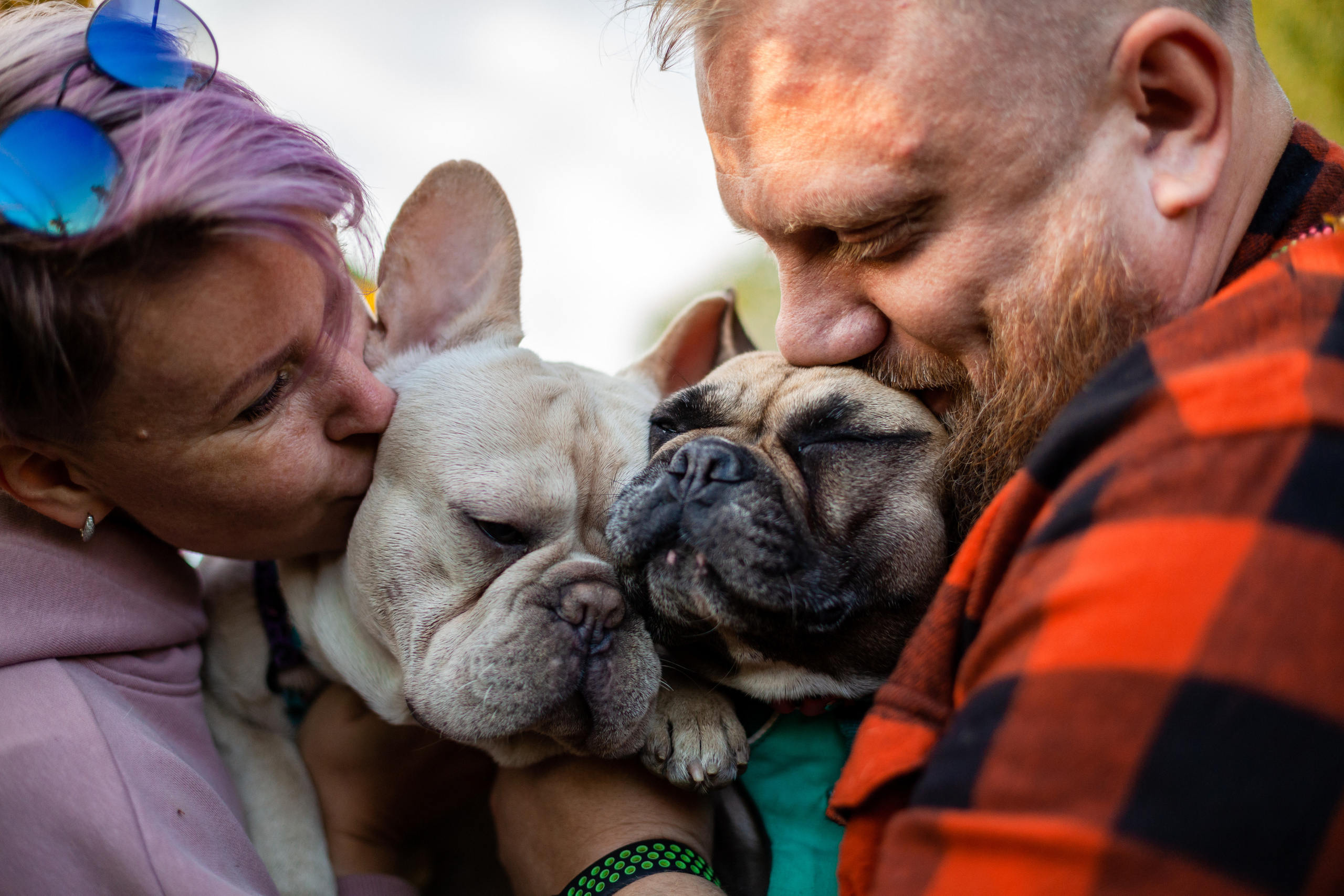 Коломна, стога и подсолнухи. Фотограф-анималист Татьяна Степанова