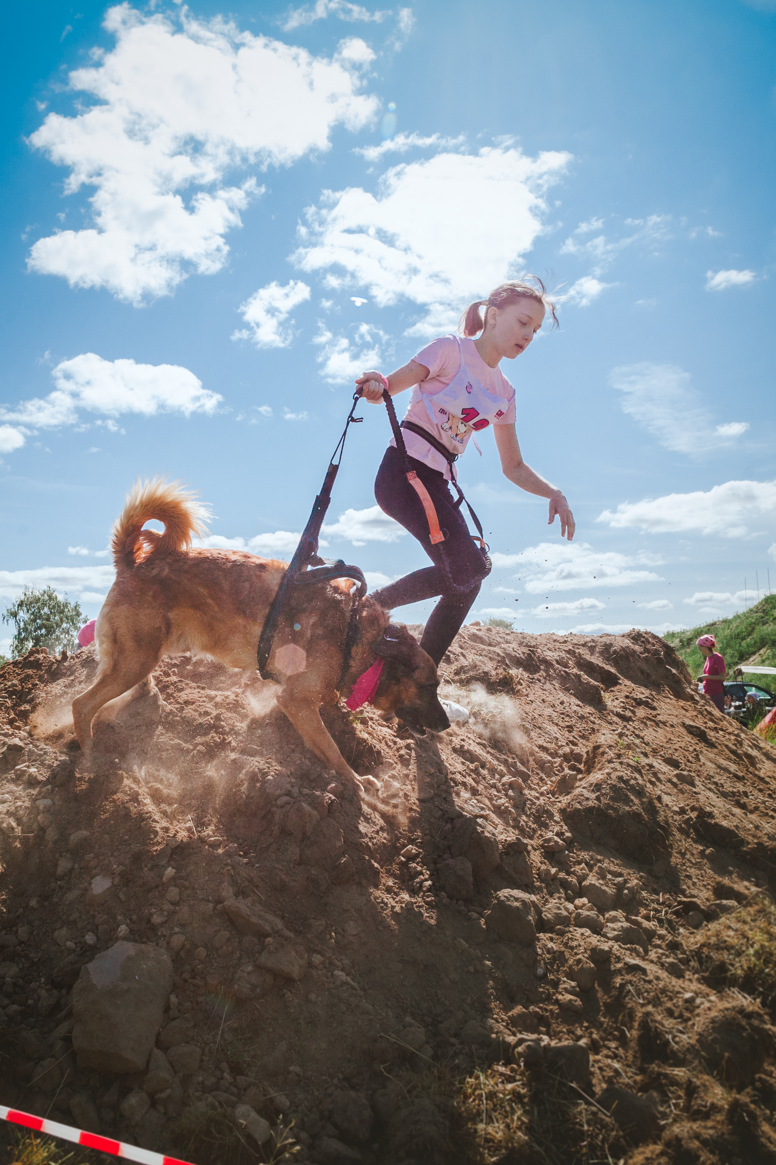 Хвостатый Драйв 11.06.2023. Фотограф-анималист Татьяна Степанова