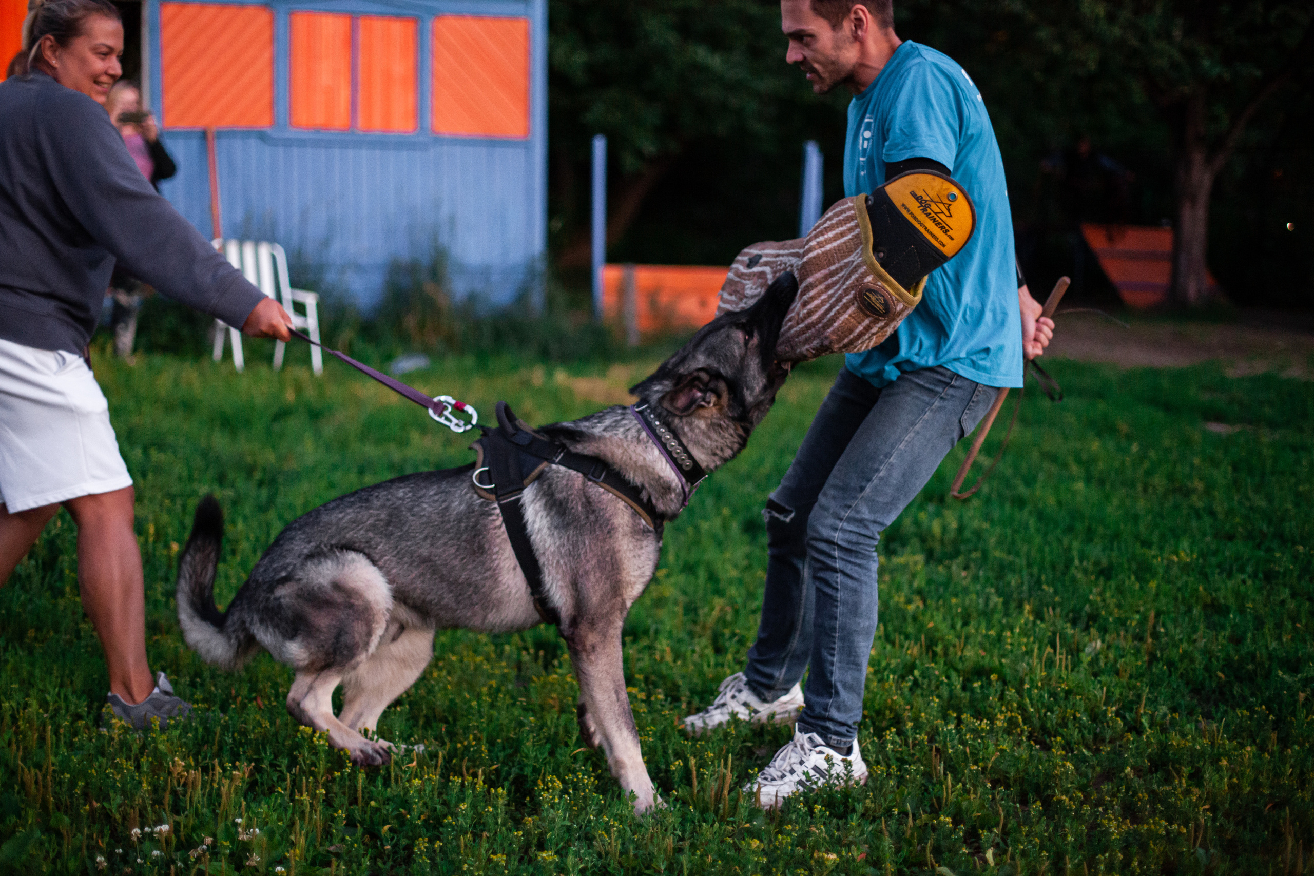 Занятие ЗКС+Выборка 2022. Фотограф-анималист Татьяна Степанова