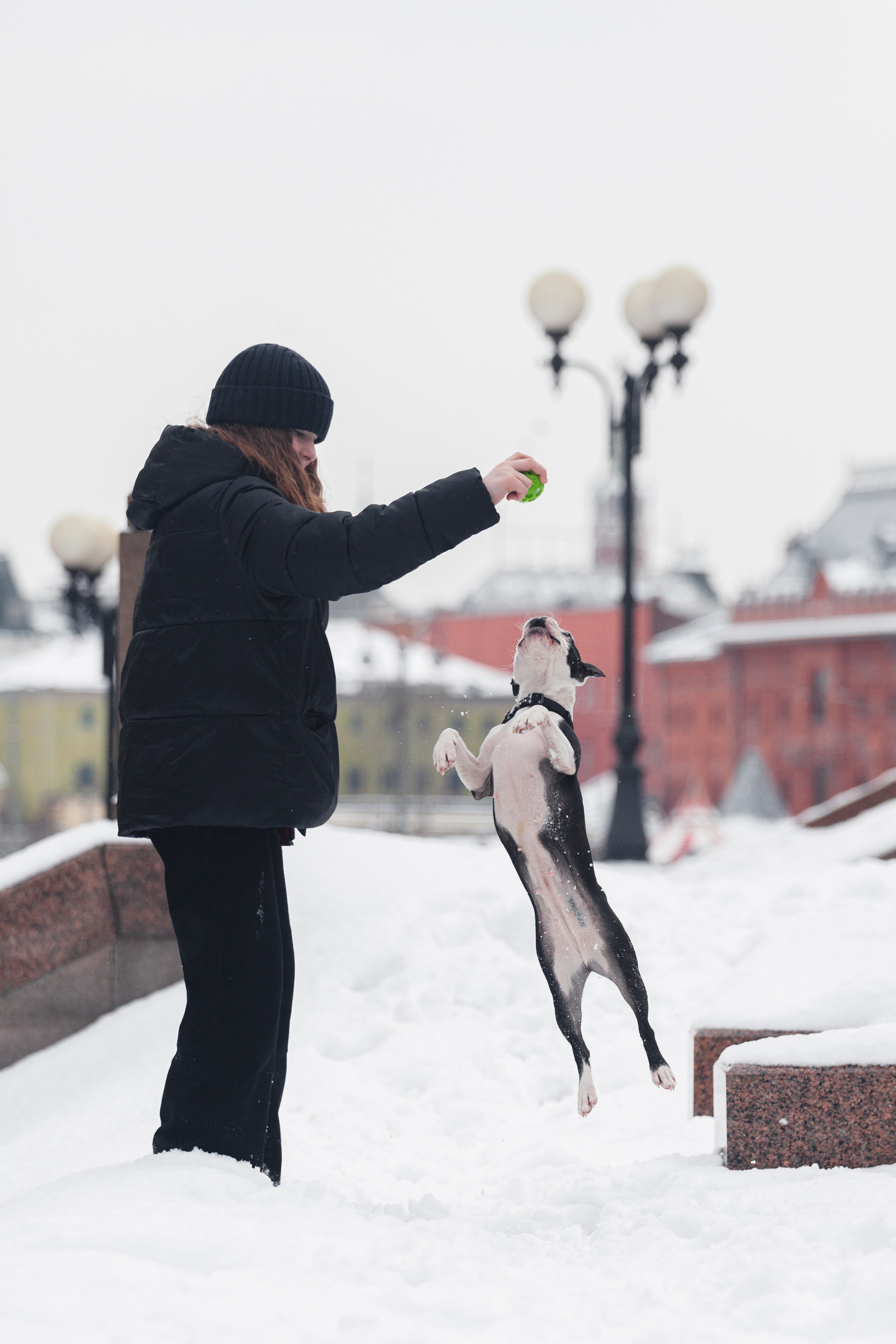 Василиса и Мира Кузнецкий мост. Фотограф-анималист Татьяна Степанова