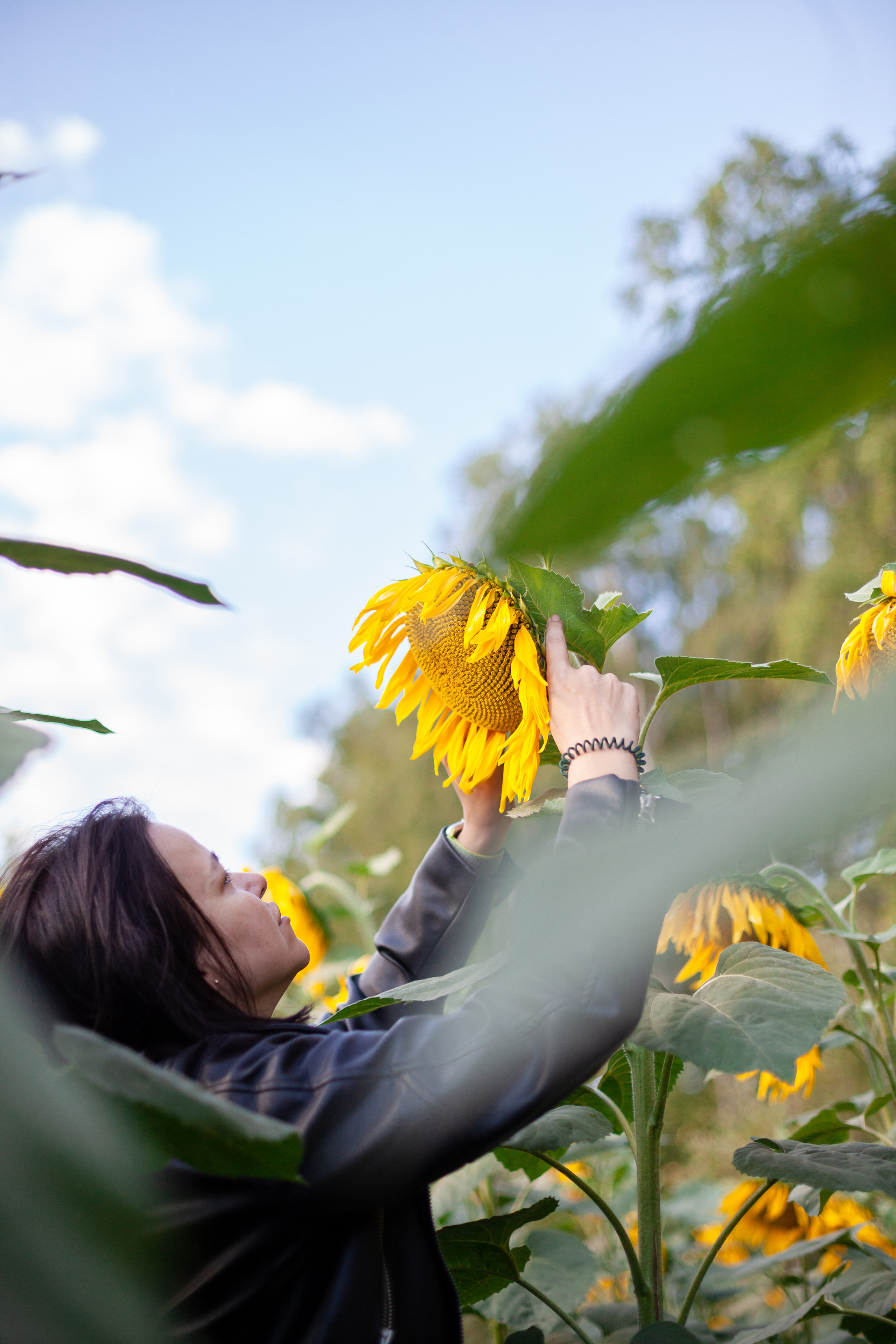 Коломна, стога и подсолнухи. Фотограф-анималист Татьяна Степанова