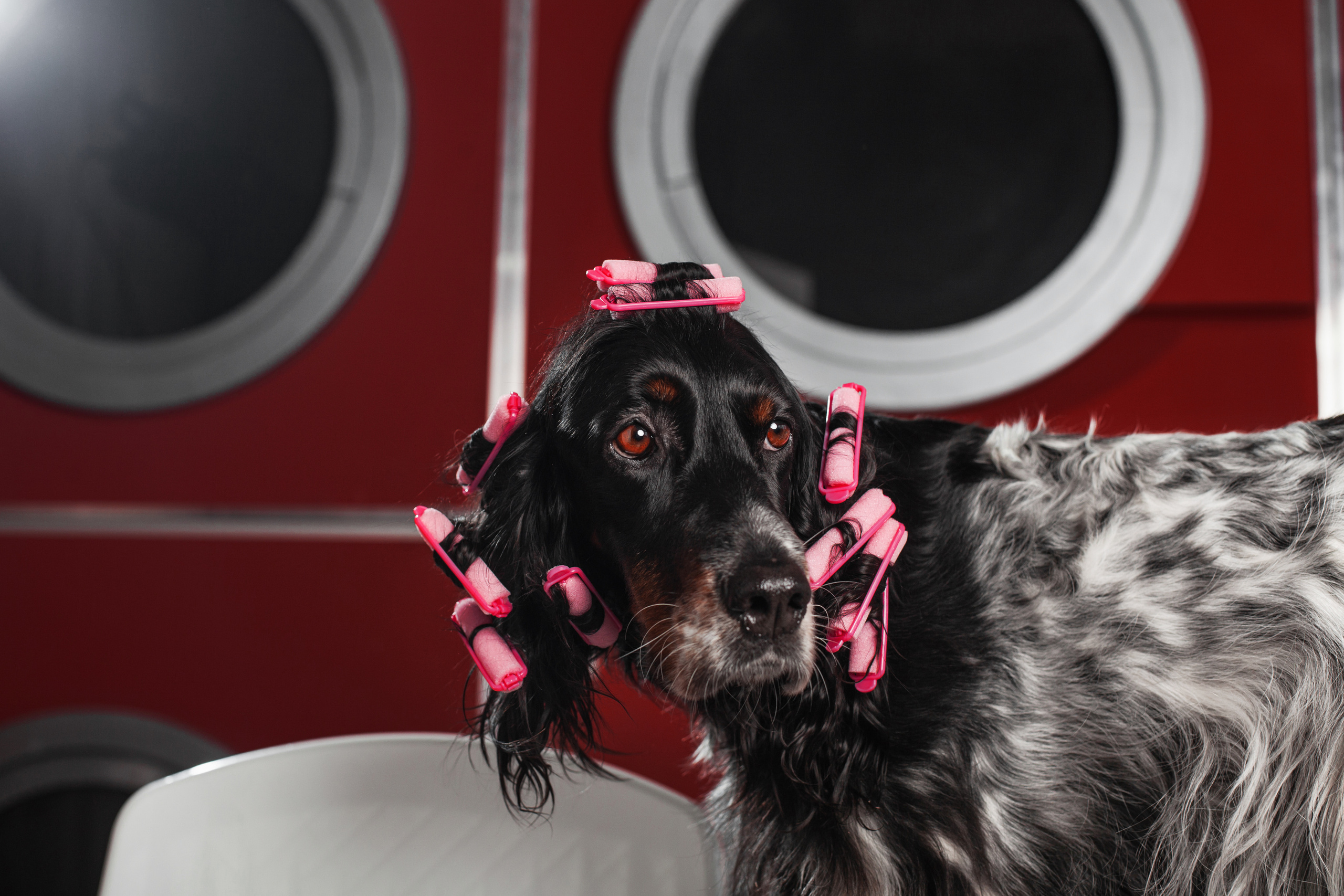 Света и Богдана. Фотограф-анималист Татьяна Степанова