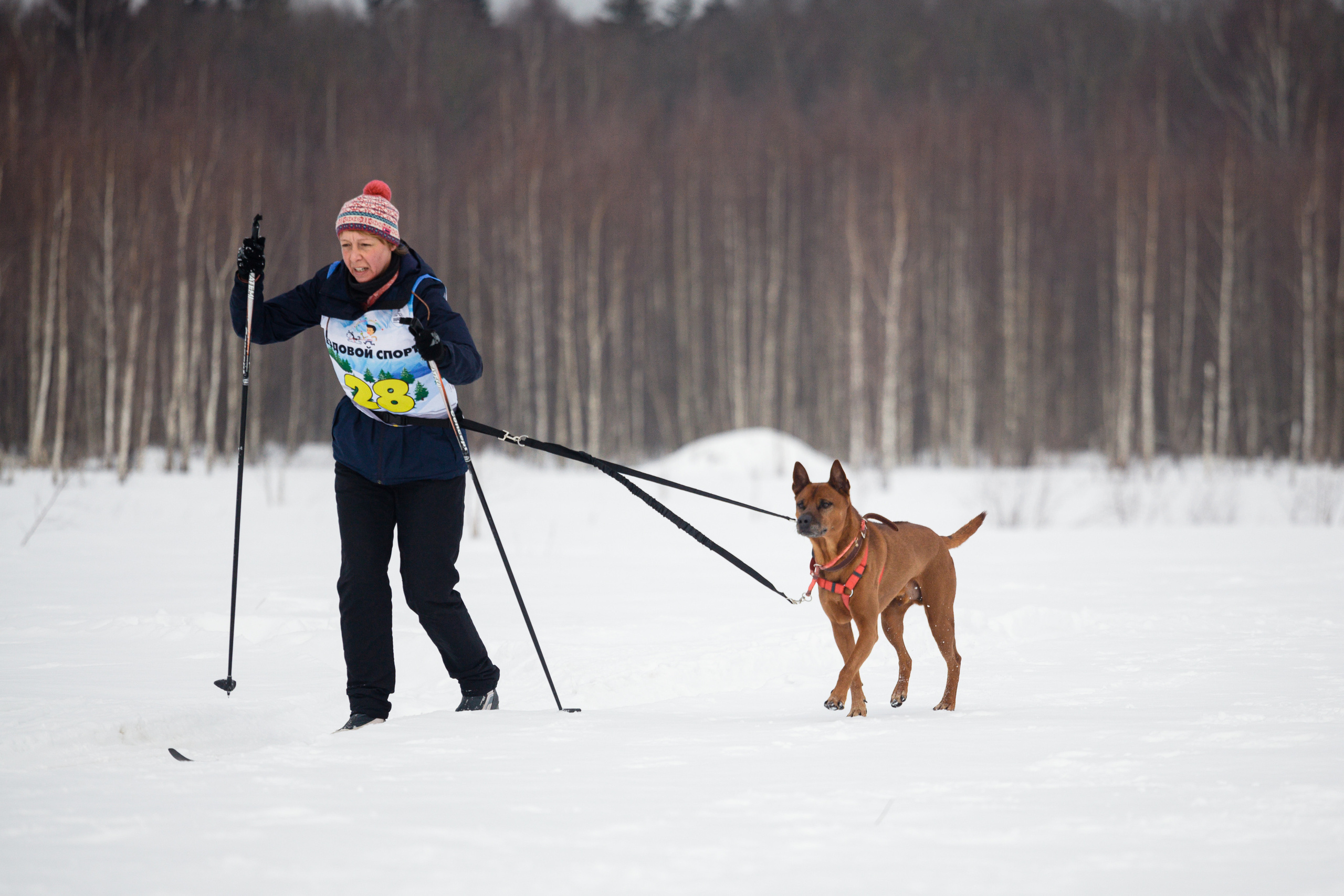 Холодные игры 28 февраля 2022. Фотограф-анималист Татьяна Степанова