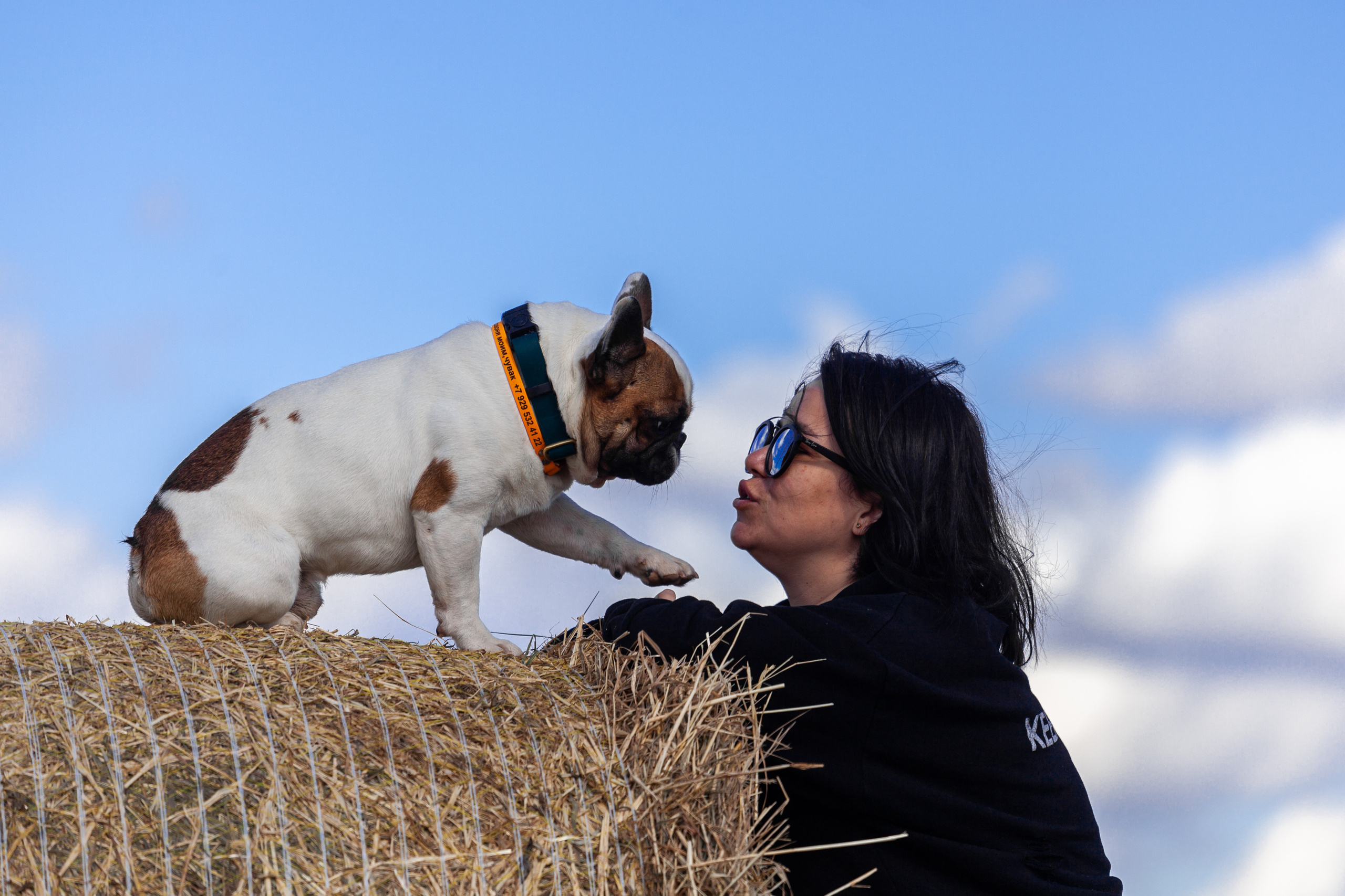 Коломна, стога и подсолнухи. Фотограф-анималист Татьяна Степанова