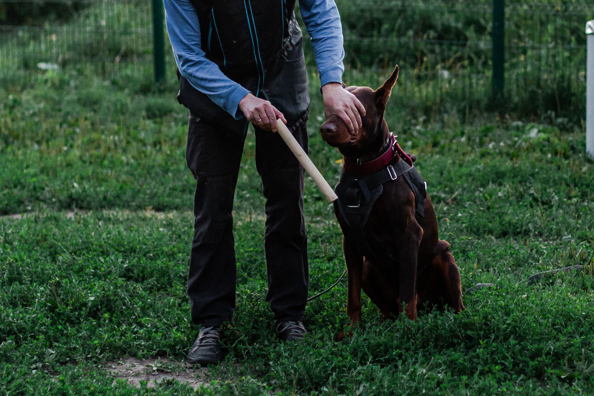 Занятие ЗКС+Выборка 2022. Фотограф-анималист Татьяна Степанова