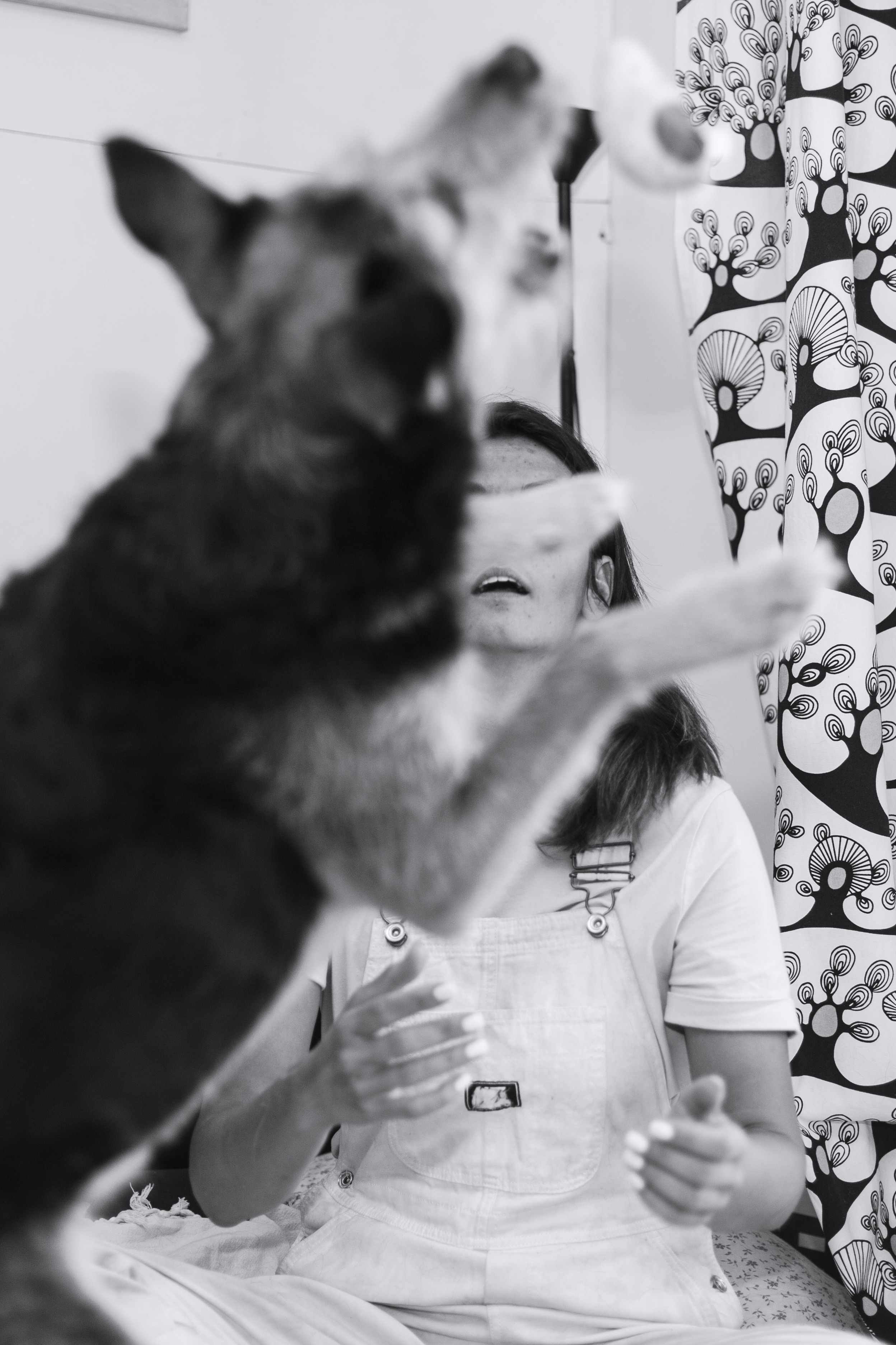 Лиза и Бренда. Фотограф-анималист Татьяна Степанова