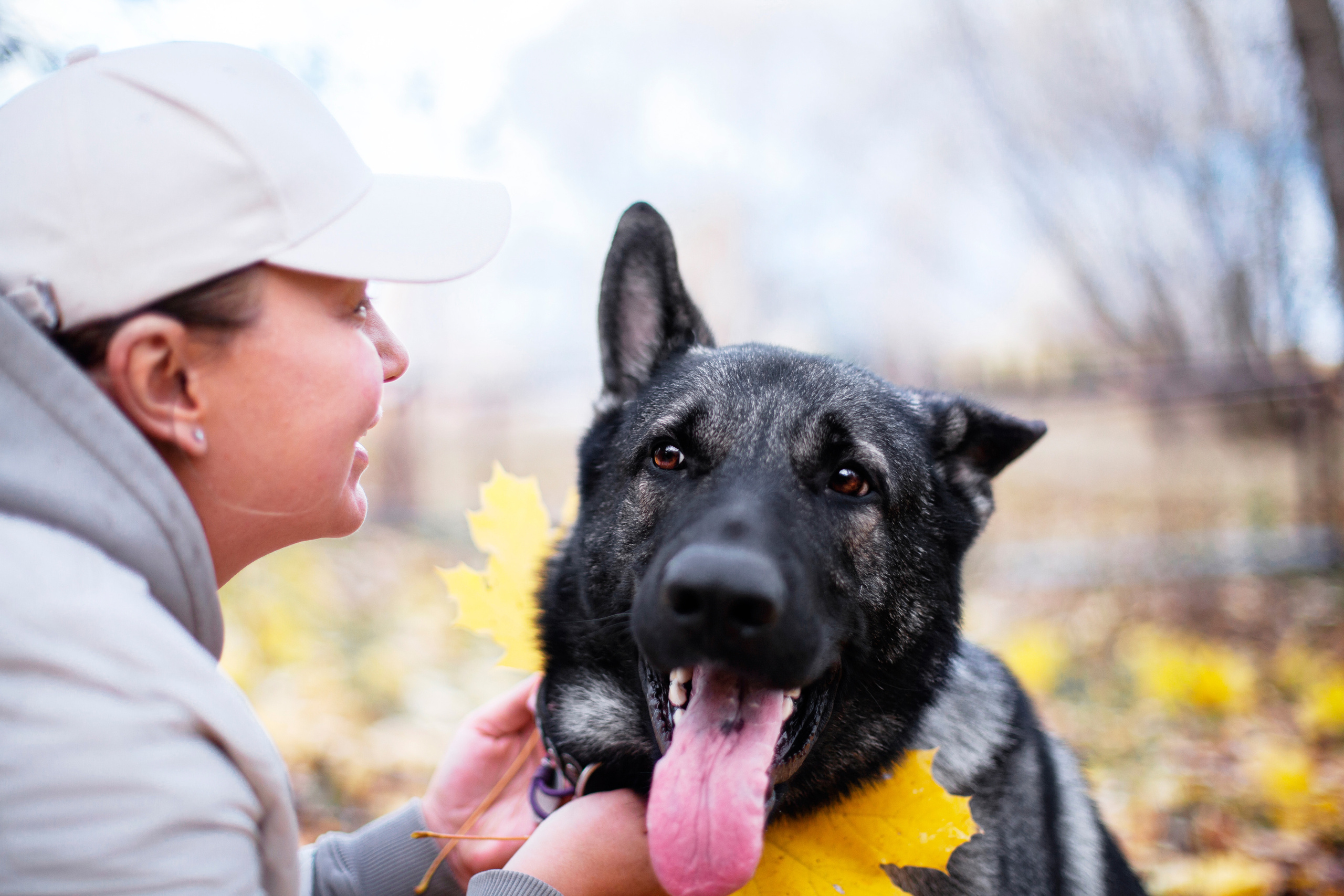 Женя, Скай и Арти в ПКИО Северное Тушино. Фотограф-анималист Татьяна Степанова