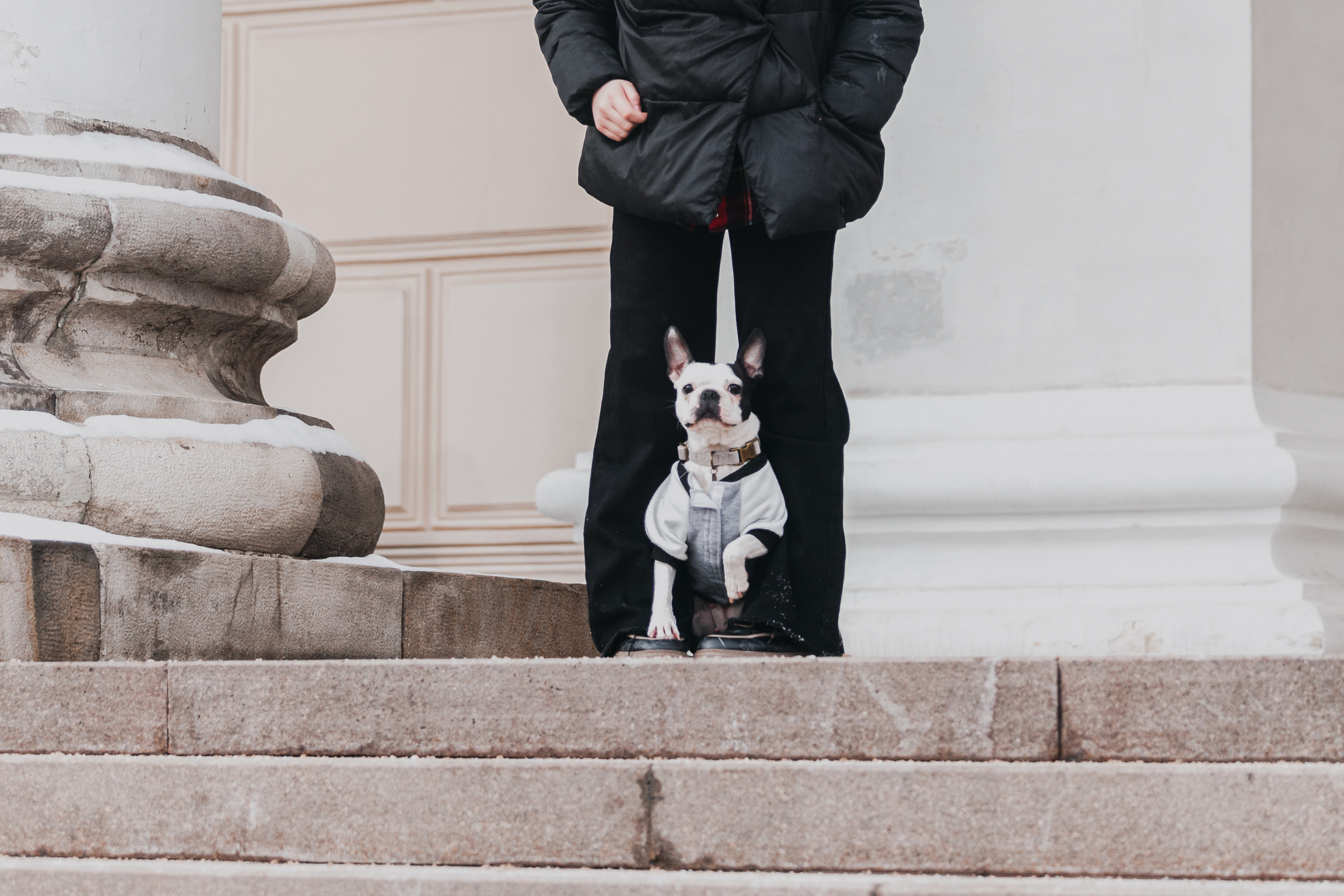 Василиса и Мира Кузнецкий мост. Фотограф-анималист Татьяна Степанова