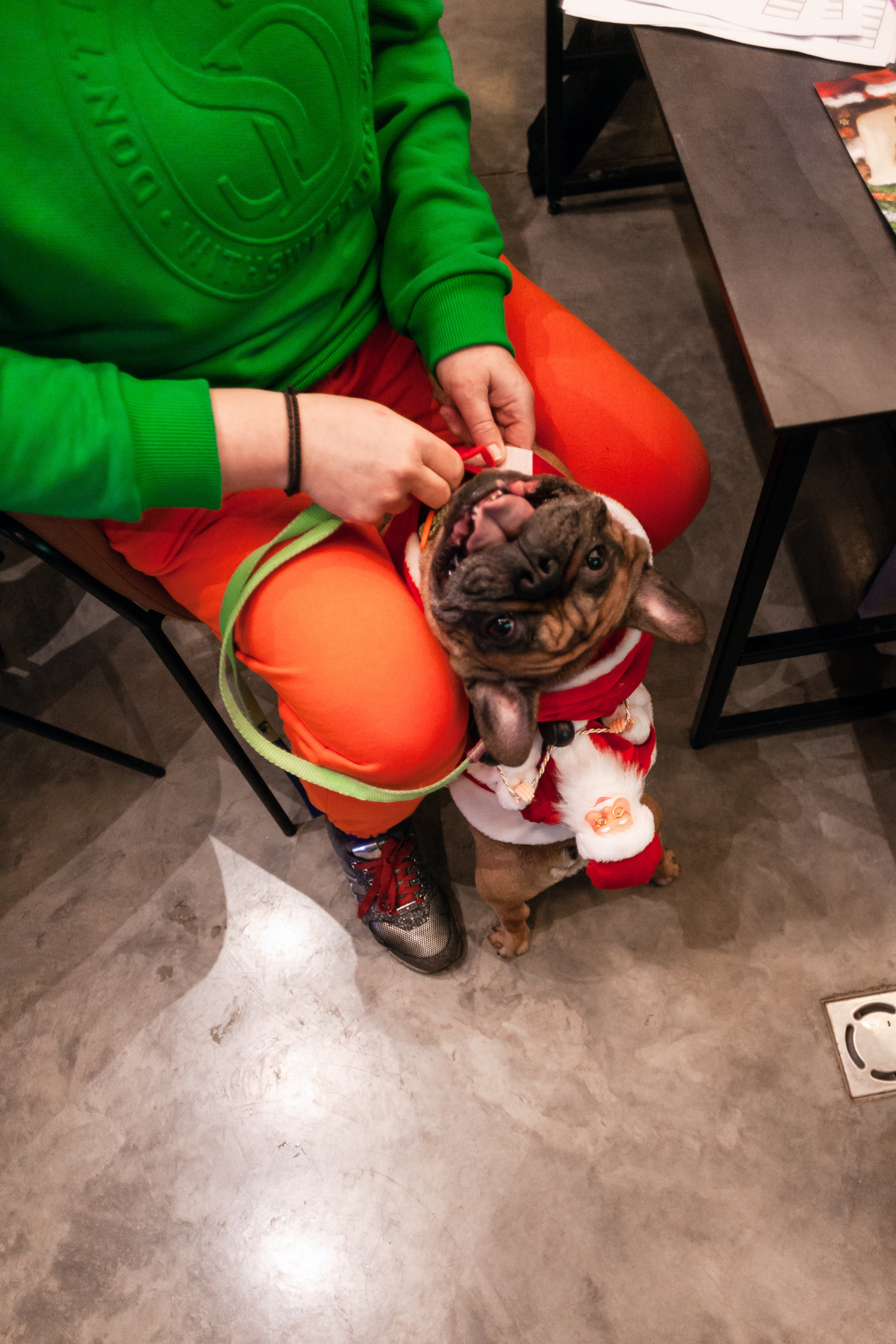 Бульелка 2022. Фотограф-анималист Татьяна Степанова