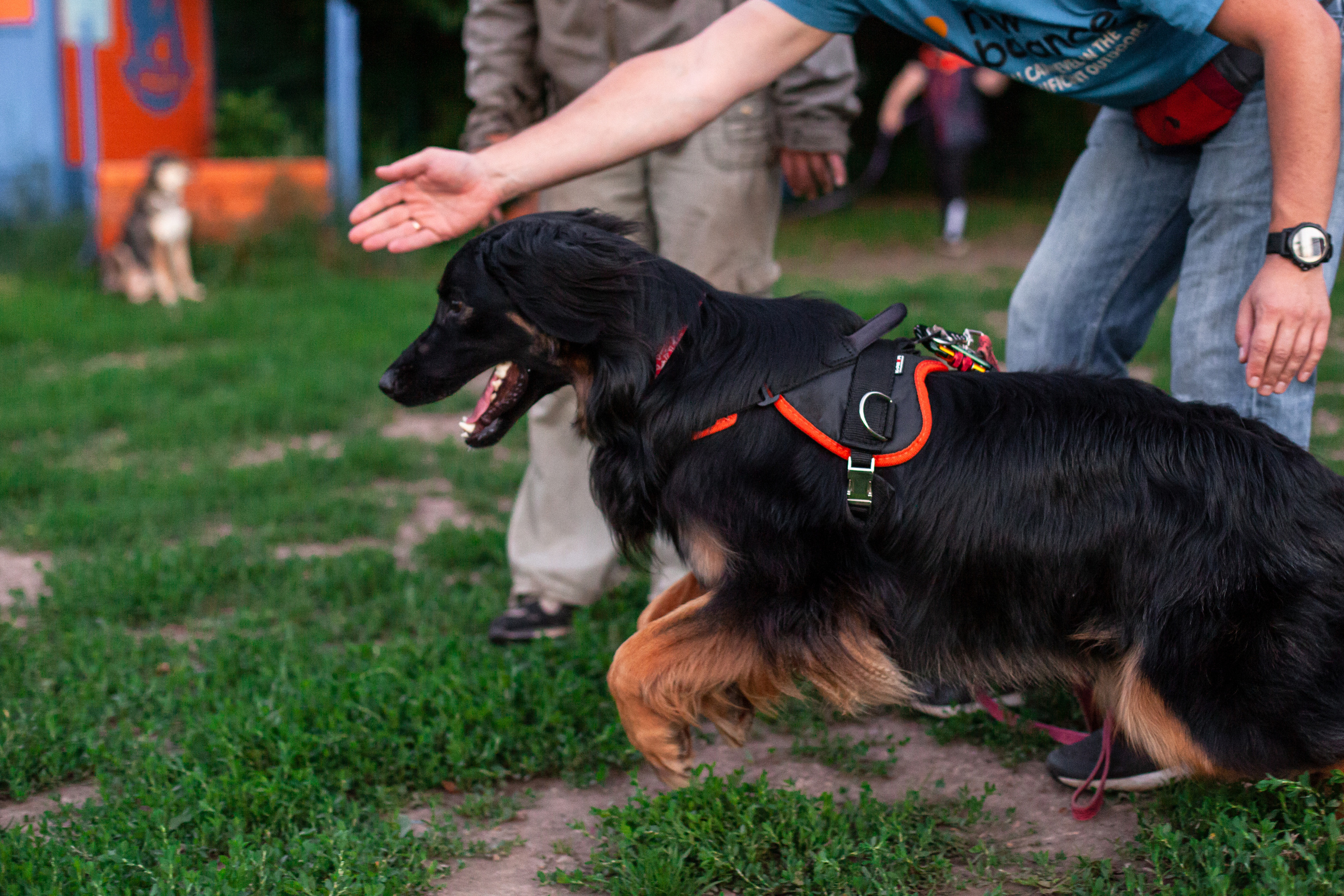 Занятие ЗКС+Выборка 2022. Фотограф-анималист Татьяна Степанова