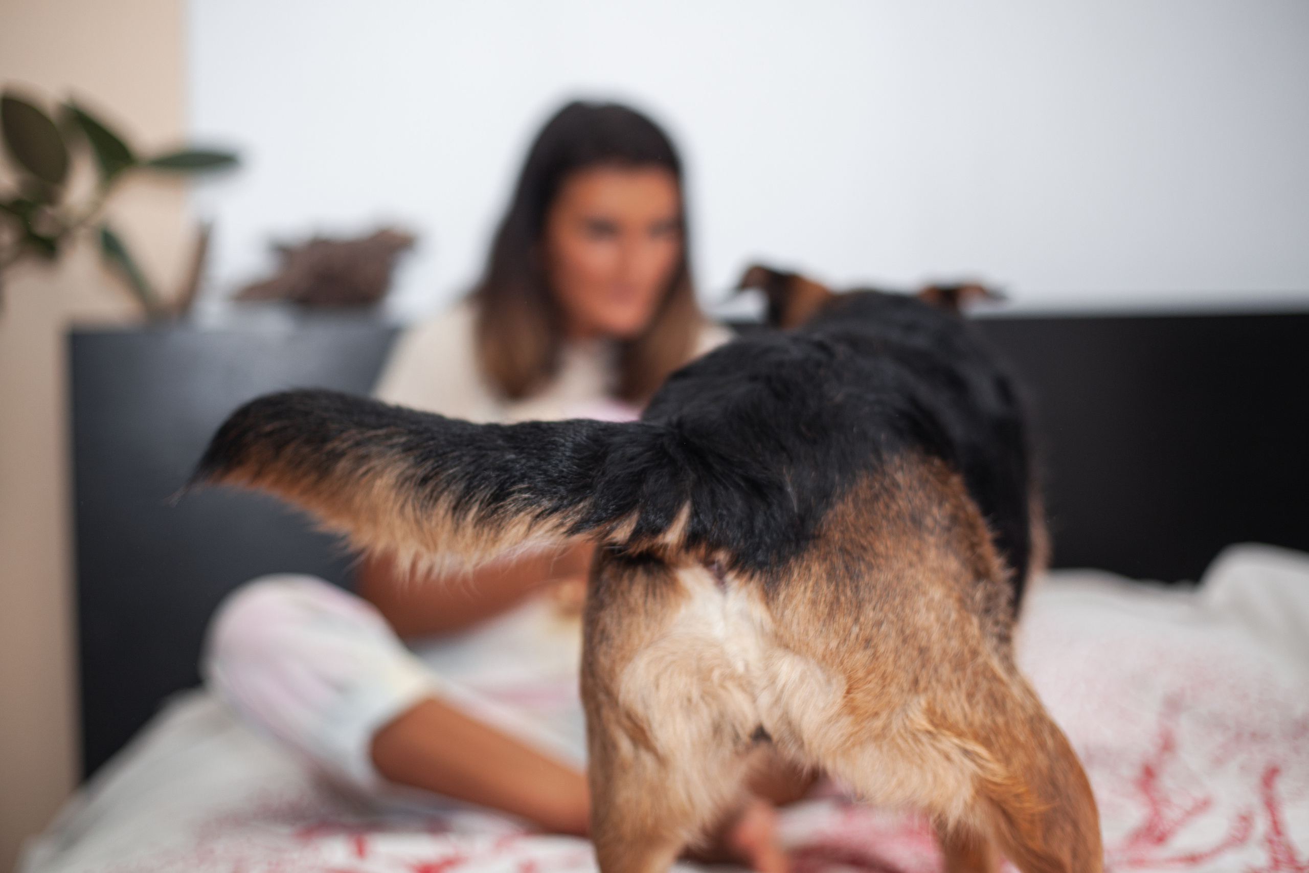Лиза и Бренда. Фотограф-анималист Татьяна Степанова