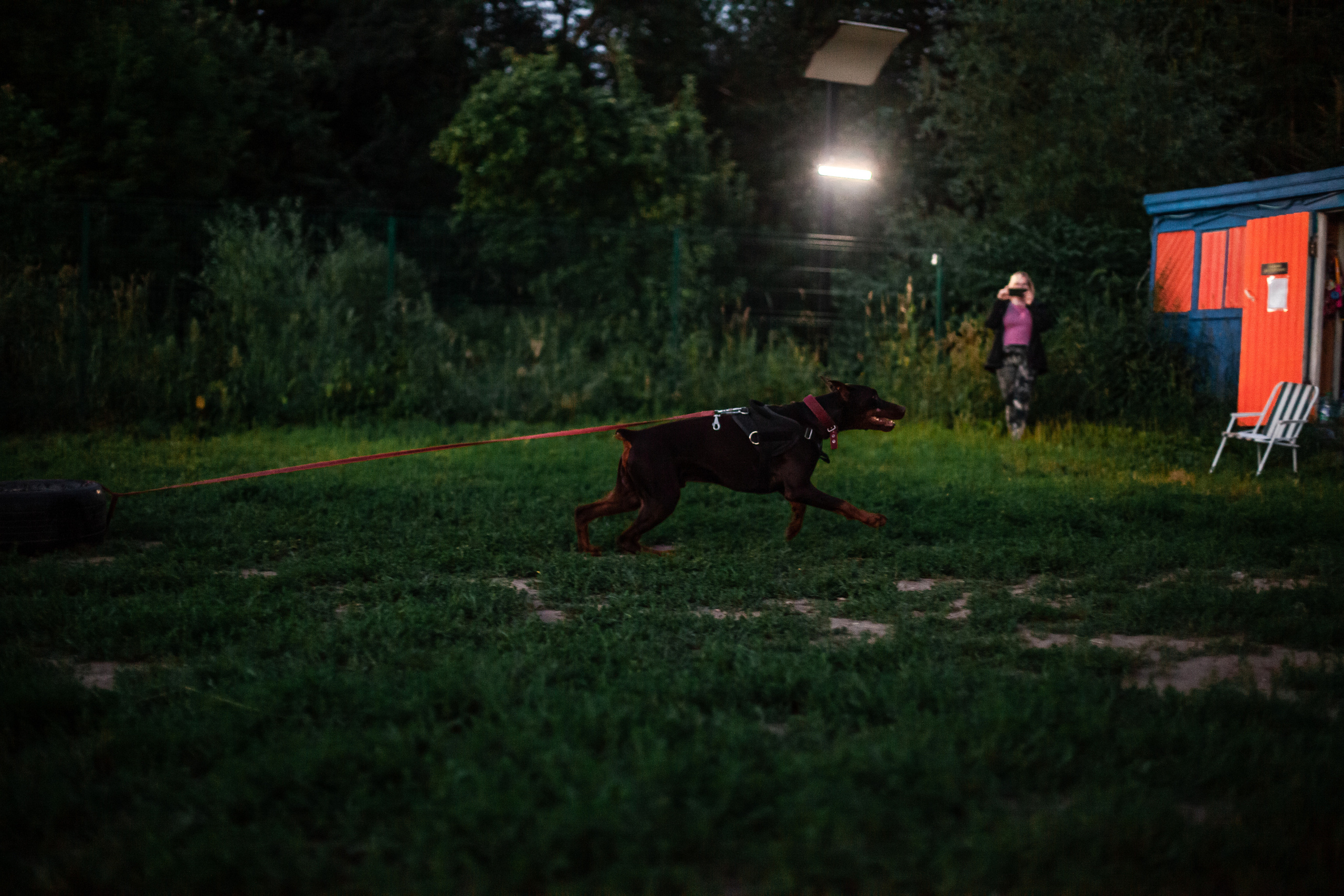 Занятие ЗКС+Выборка 2022. Фотограф-анималист Татьяна Степанова