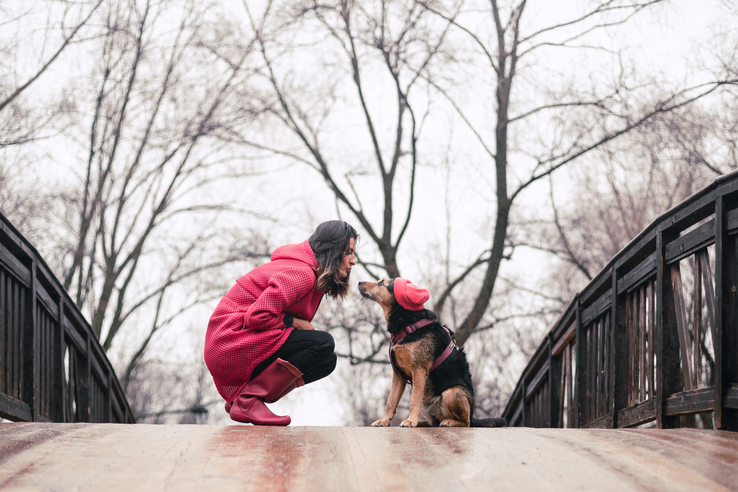Лиза и Бренда. Фотограф-анималист Татьяна Степанова