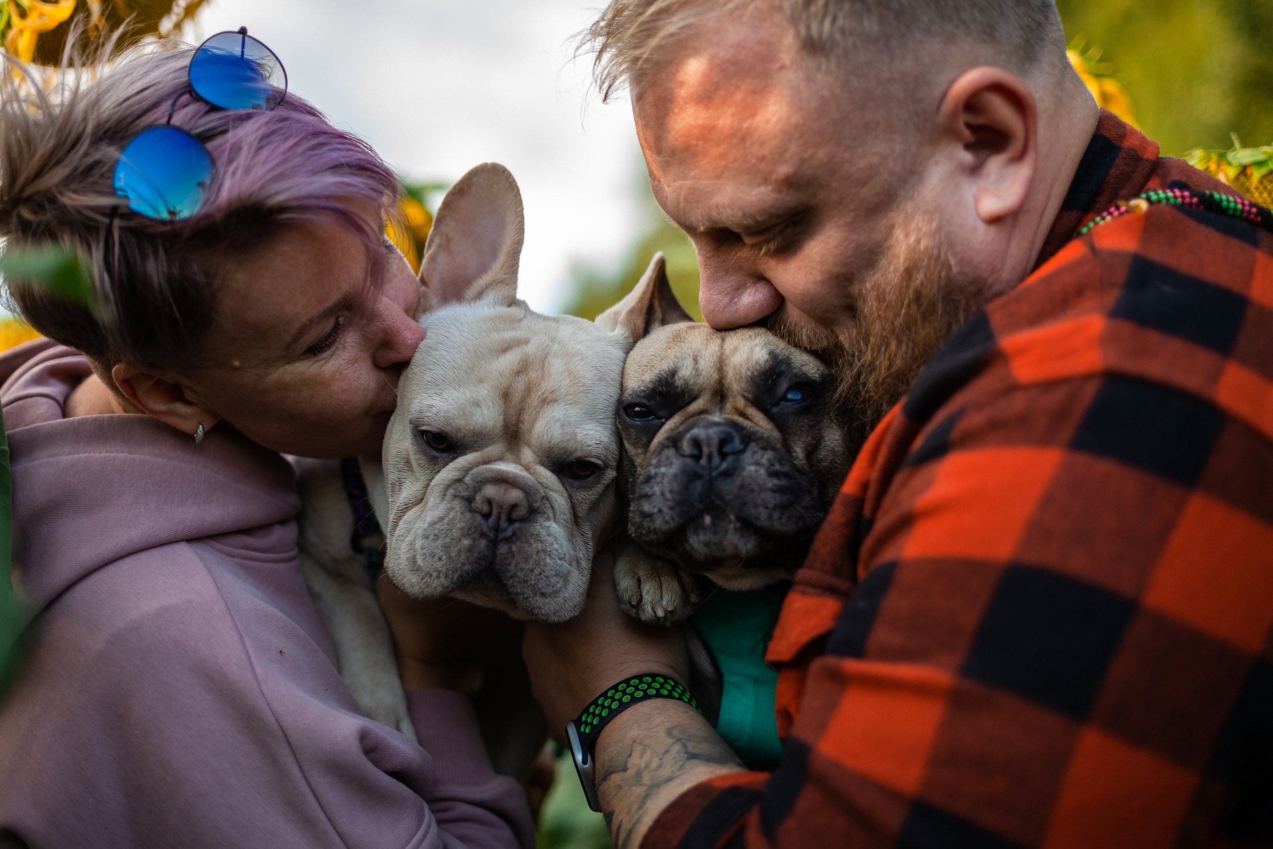 Коломна, стога и подсолнухи. Фотограф-анималист Татьяна Степанова