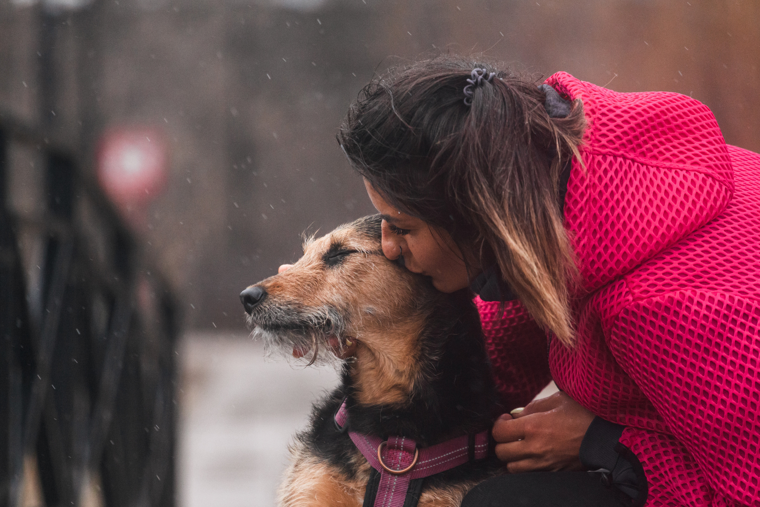 Лиза и Бренда. Фотограф-анималист Татьяна Степанова