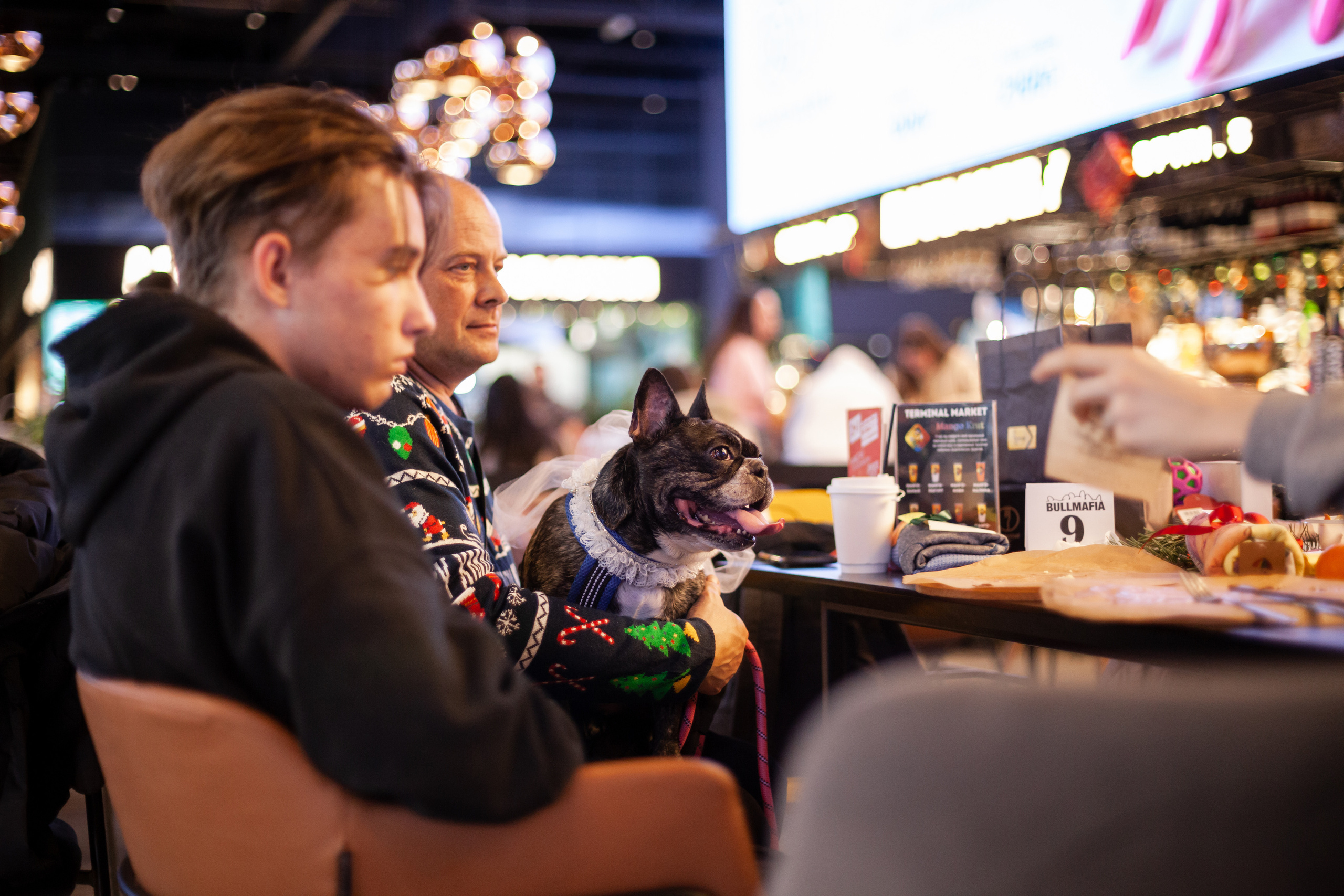 Бульелка 2022. Фотограф-анималист Татьяна Степанова