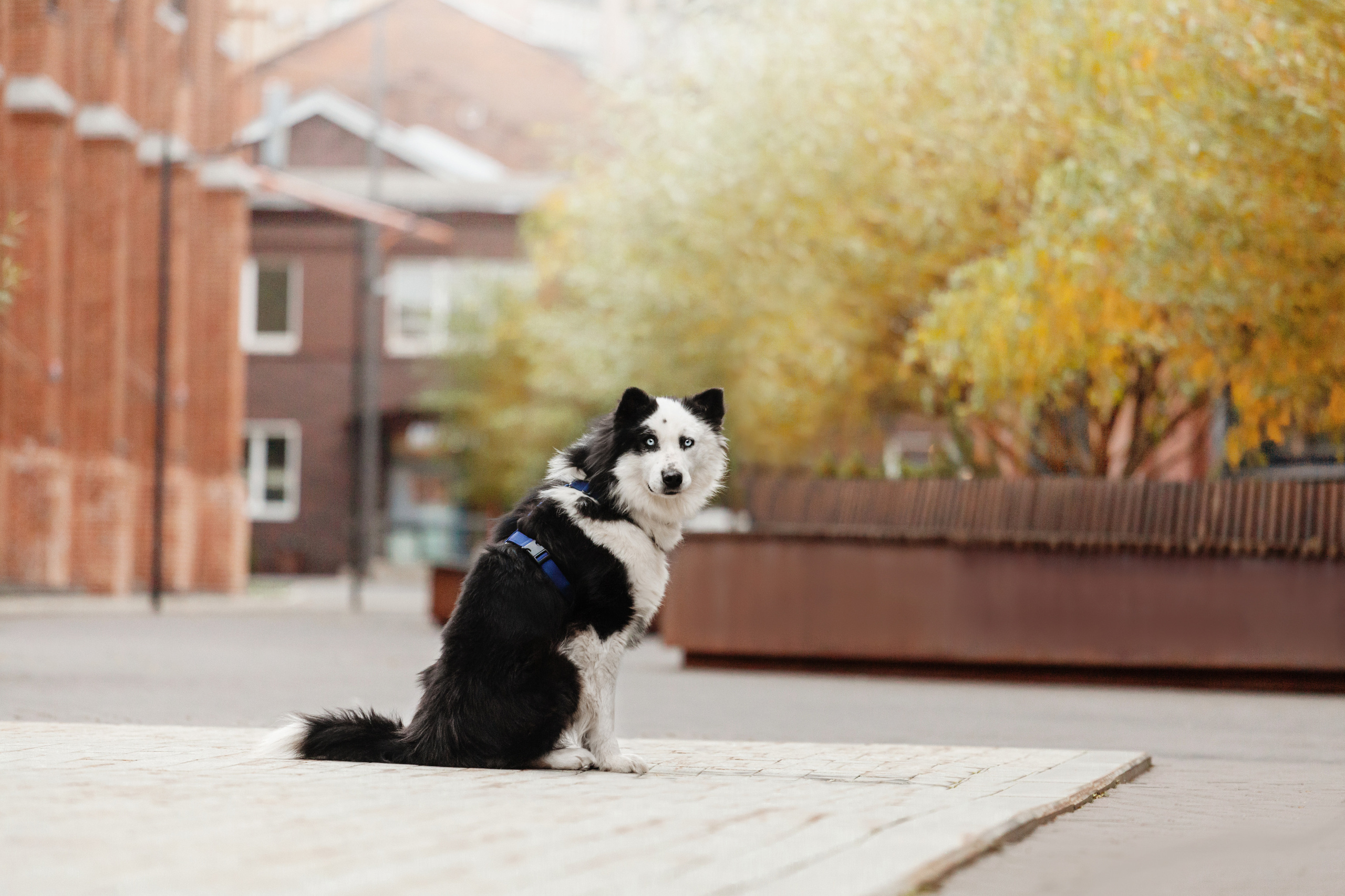 Чех 2022. Фотограф-анималист Татьяна Степанова