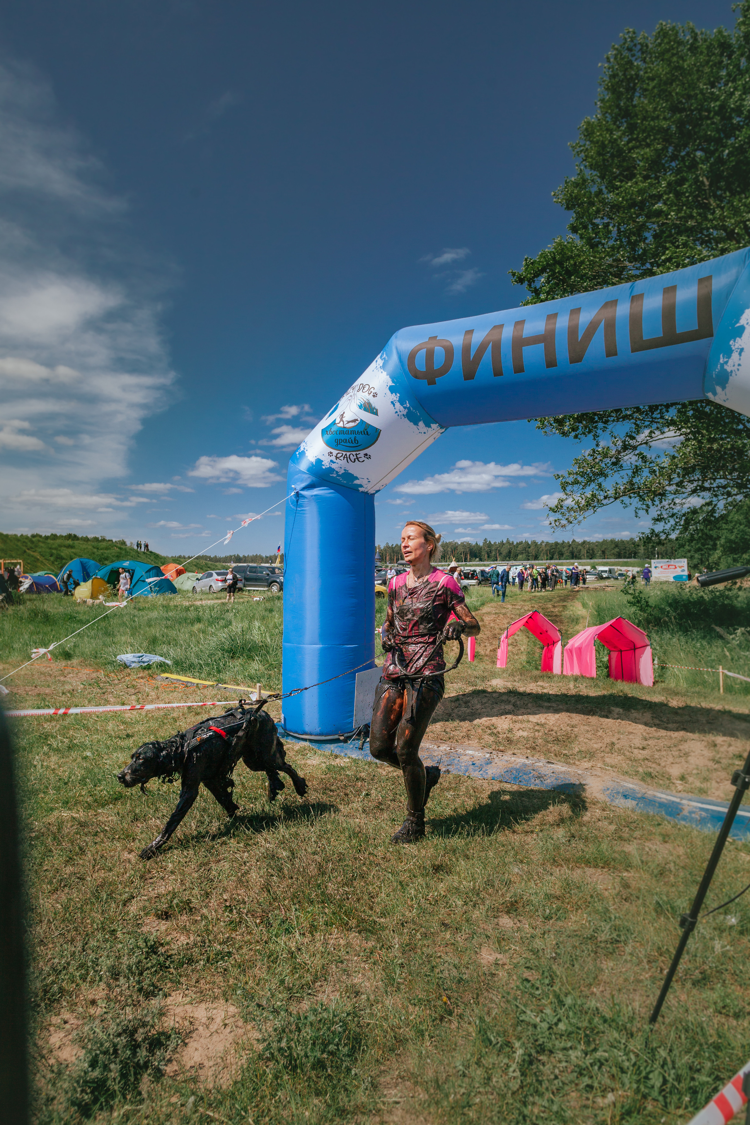 Хвостатый Драйв 11.06.2023. Фотограф-анималист Татьяна Степанова