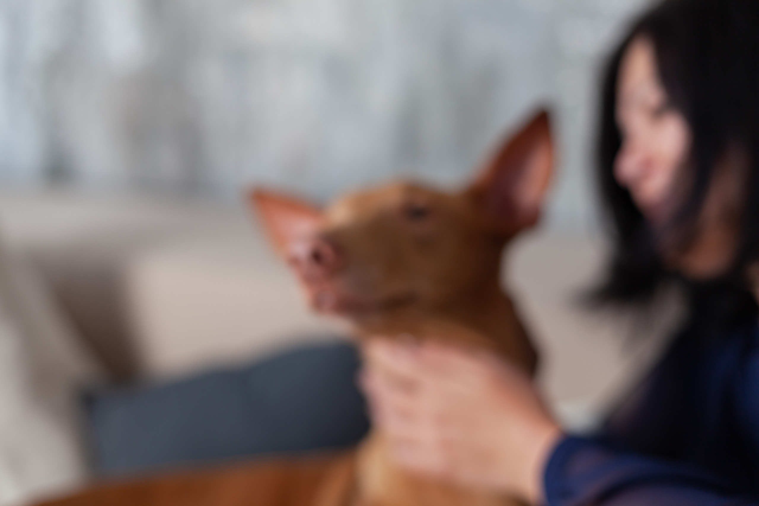 Юля и Мэри. Фотограф-анималист Татьяна Степанова