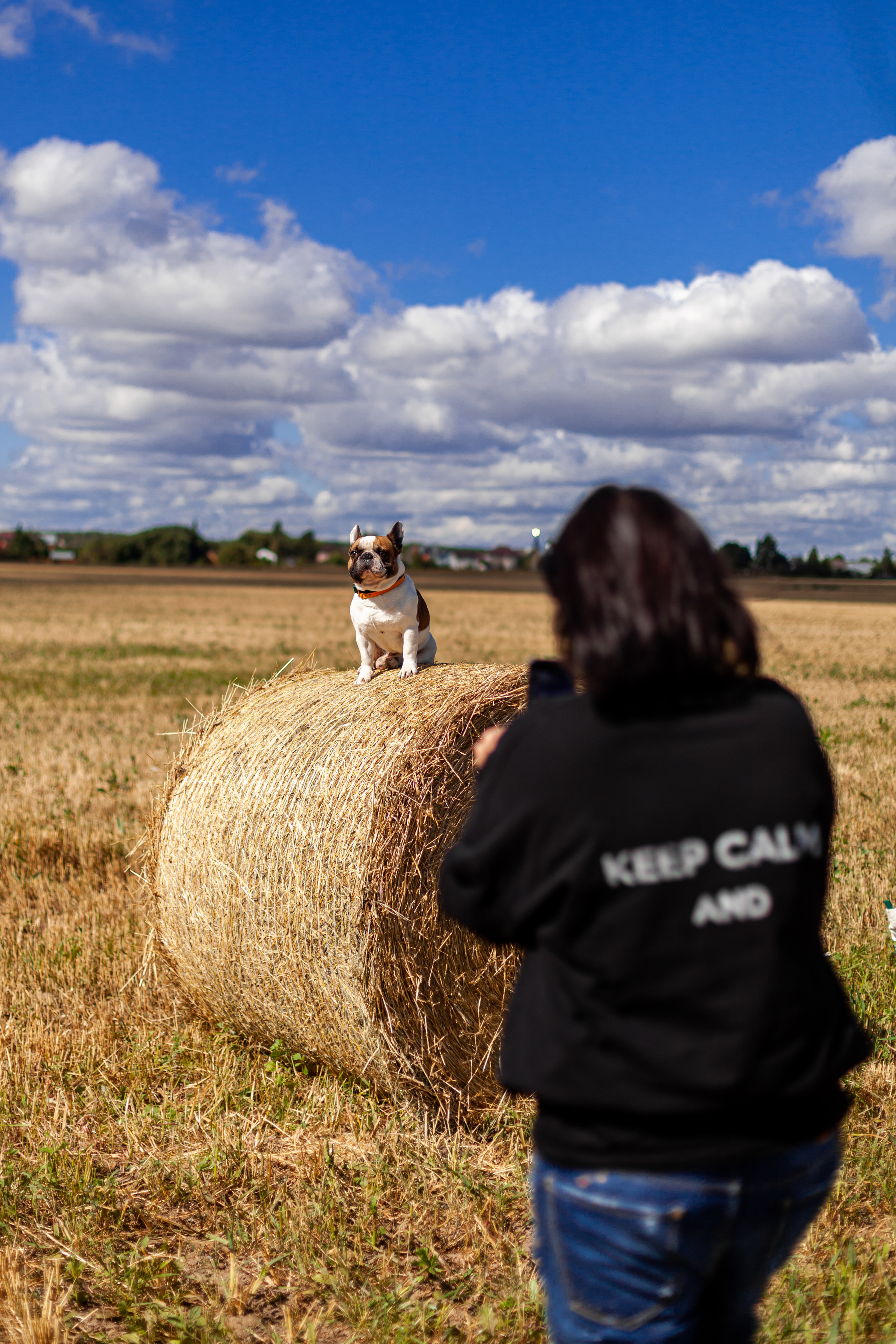 Коломна, стога и подсолнухи. Фотограф-анималист Татьяна Степанова