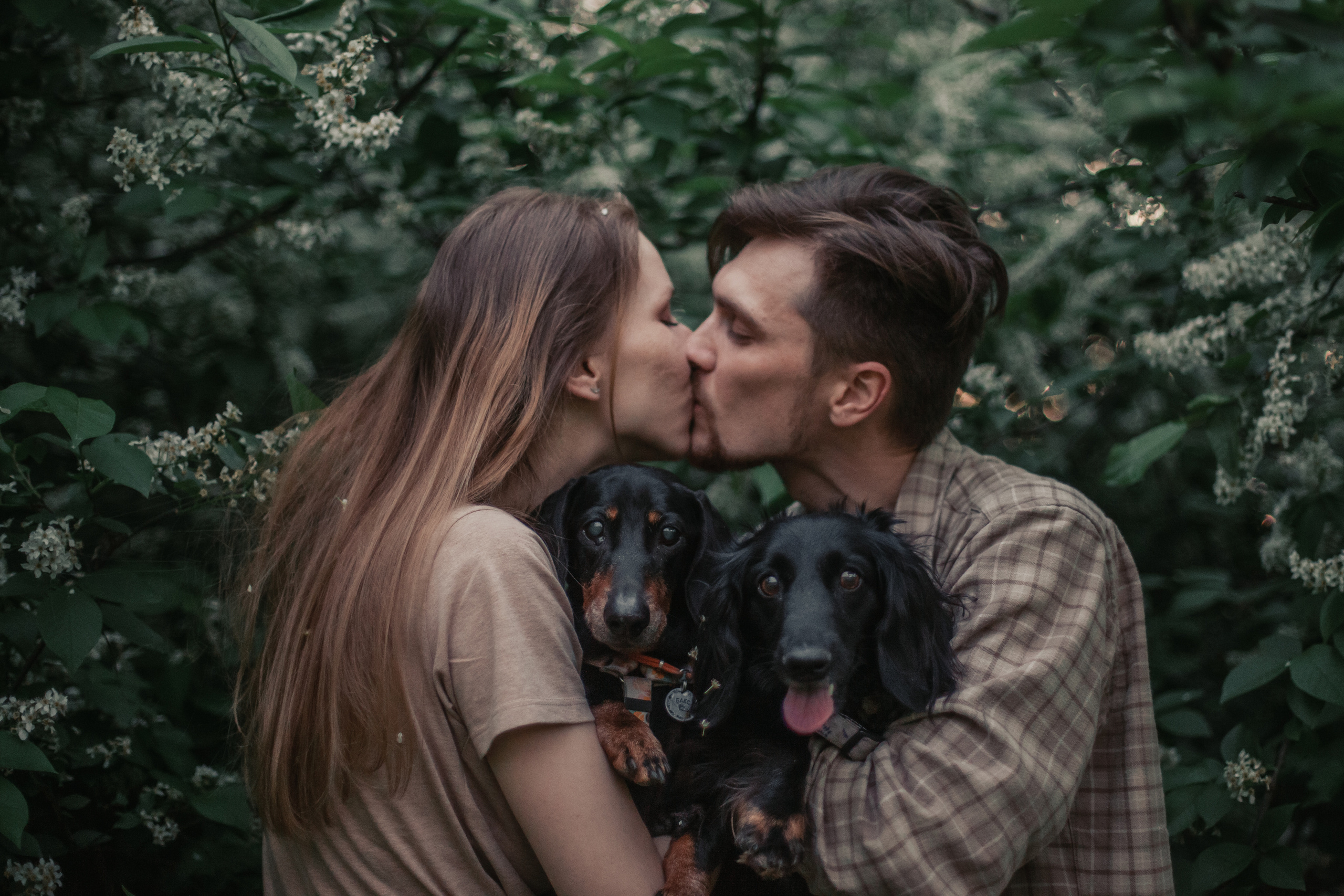 Фотограф-анималист Татьяна Степанова