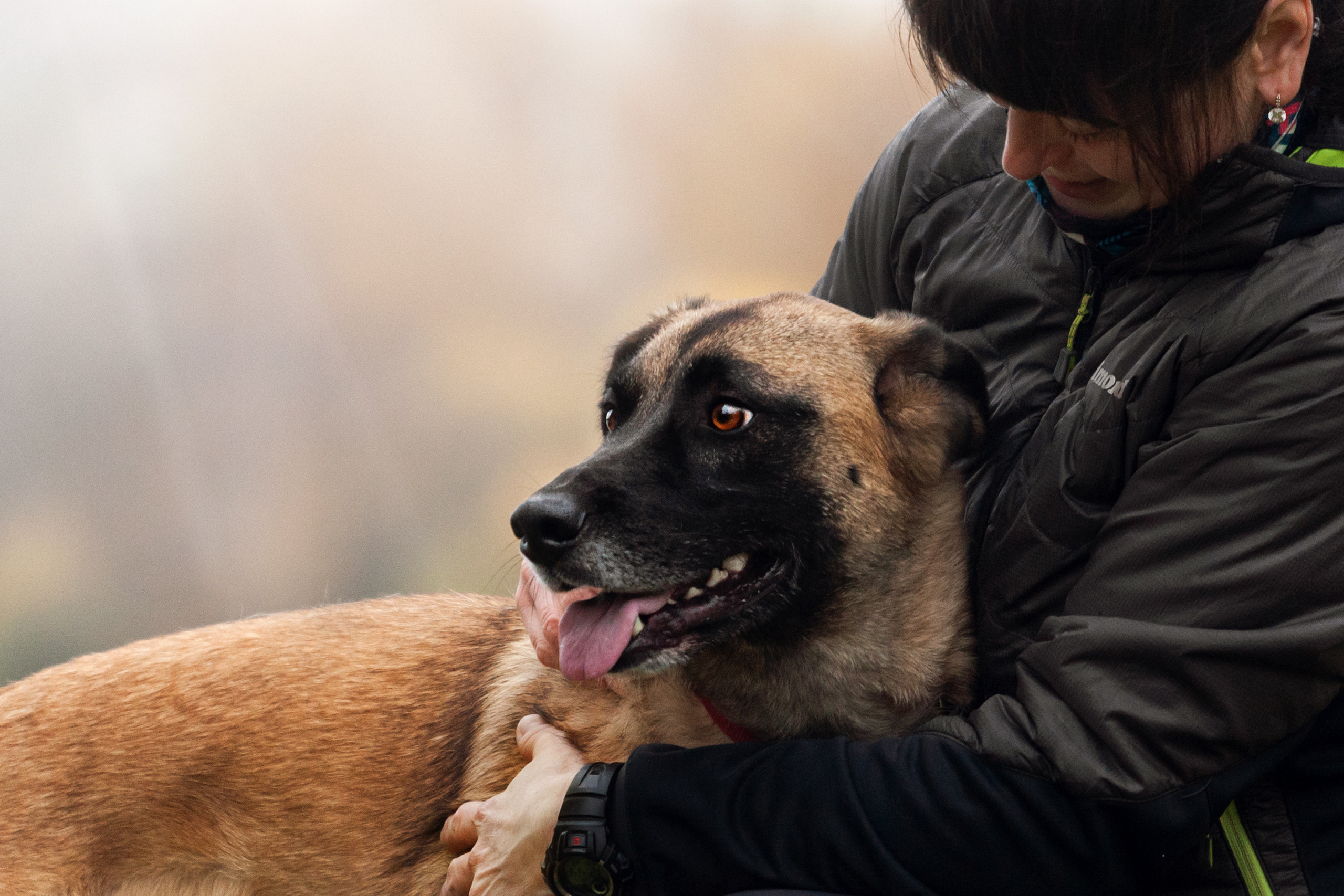 Фучик 2022. Фотограф-анималист Татьяна Степанова