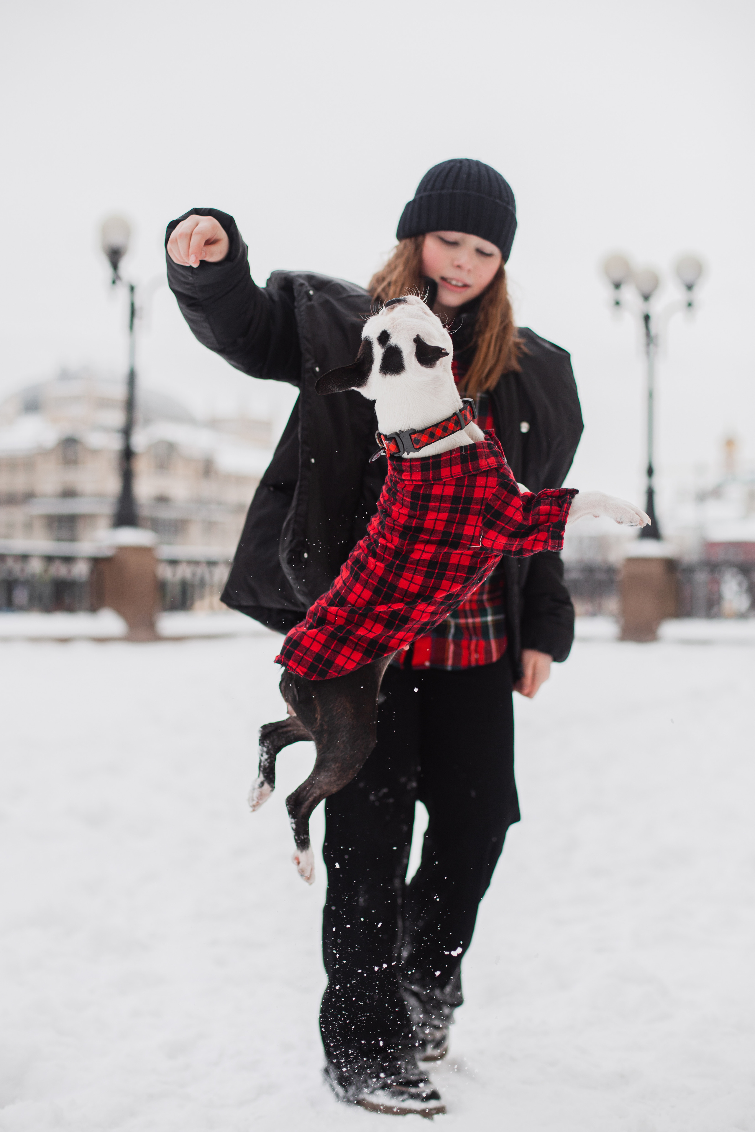 Василиса и Мира Кузнецкий мост. Фотограф-анималист Татьяна Степанова