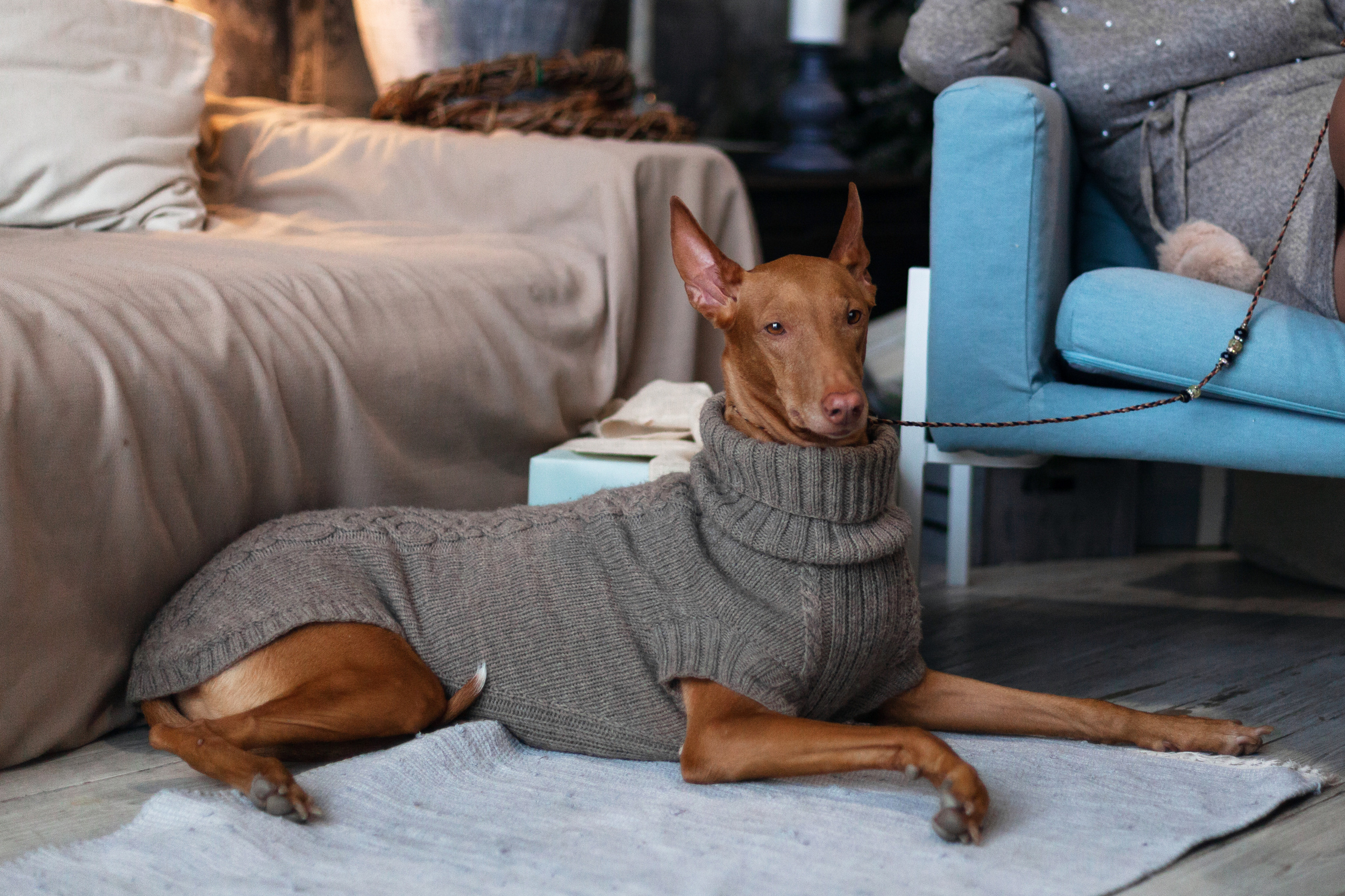 Юля и Мэри. Фотограф-анималист Татьяна Степанова