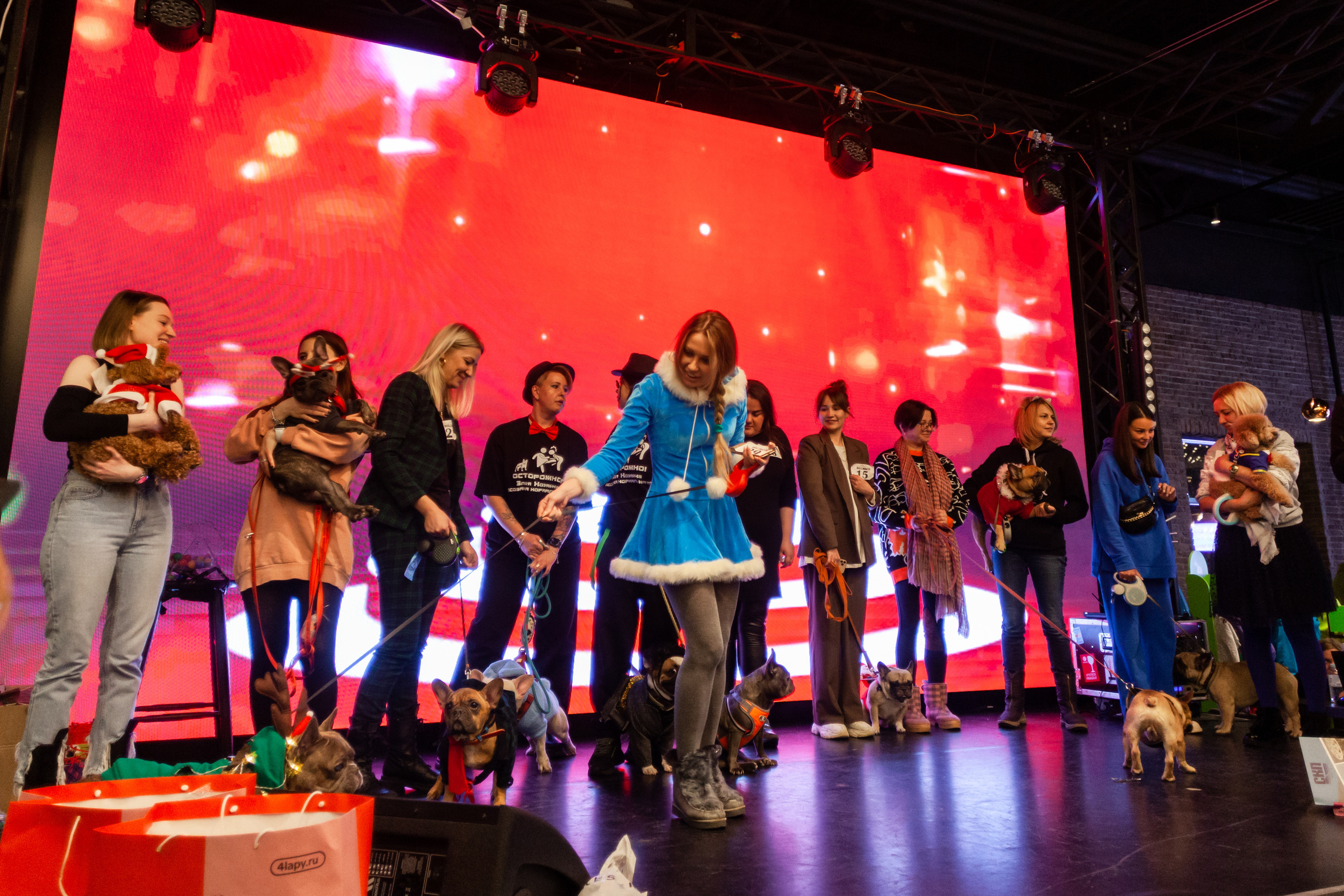 Бульелка 2022. Фотограф-анималист Татьяна Степанова