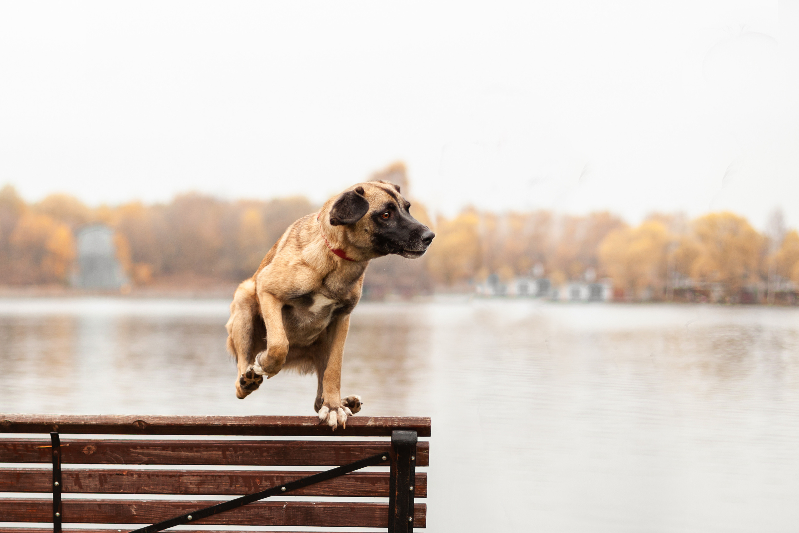 Фучик 2022. Фотограф-анималист Татьяна Степанова