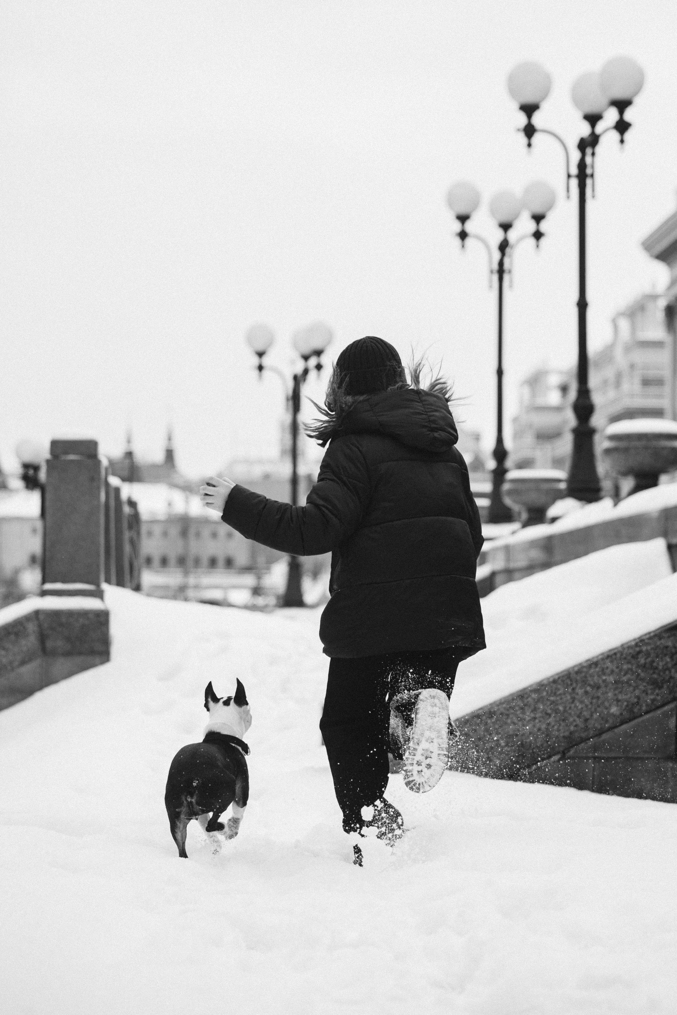 Василиса и Мира Кузнецкий мост. Фотограф-анималист Татьяна Степанова