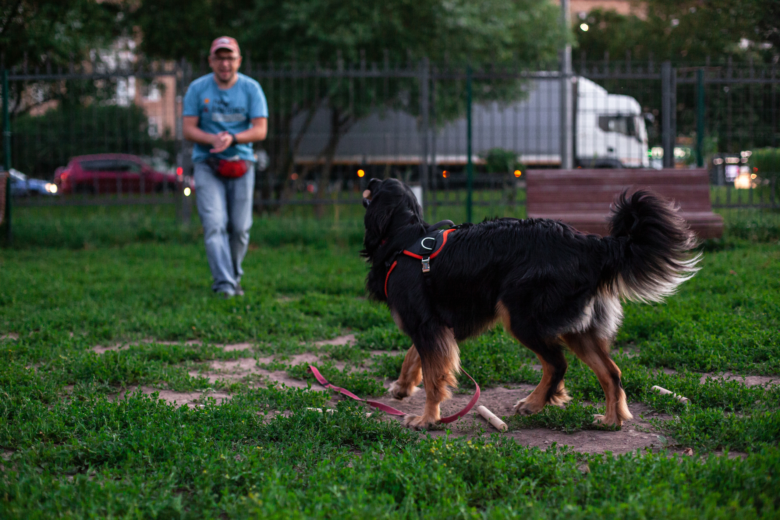 Занятие ЗКС+Выборка 2022. Фотограф-анималист Татьяна Степанова