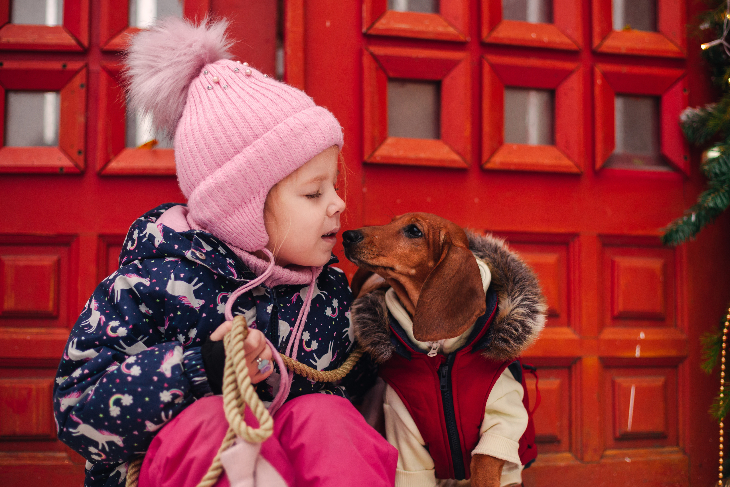 Новогодняя серия с ретромашиной. Фотограф-анималист Татьяна Степанова