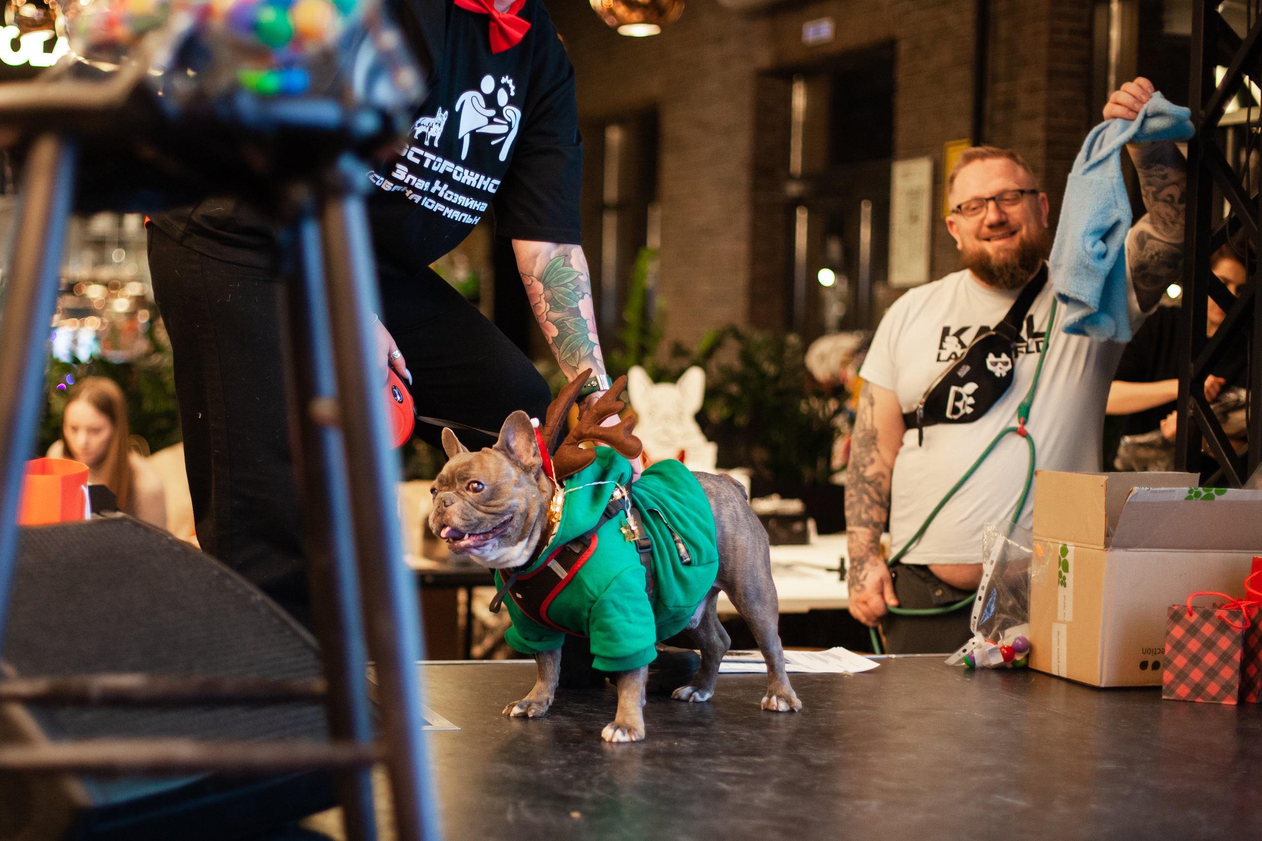 Бульелка 2022. Фотограф-анималист Татьяна Степанова