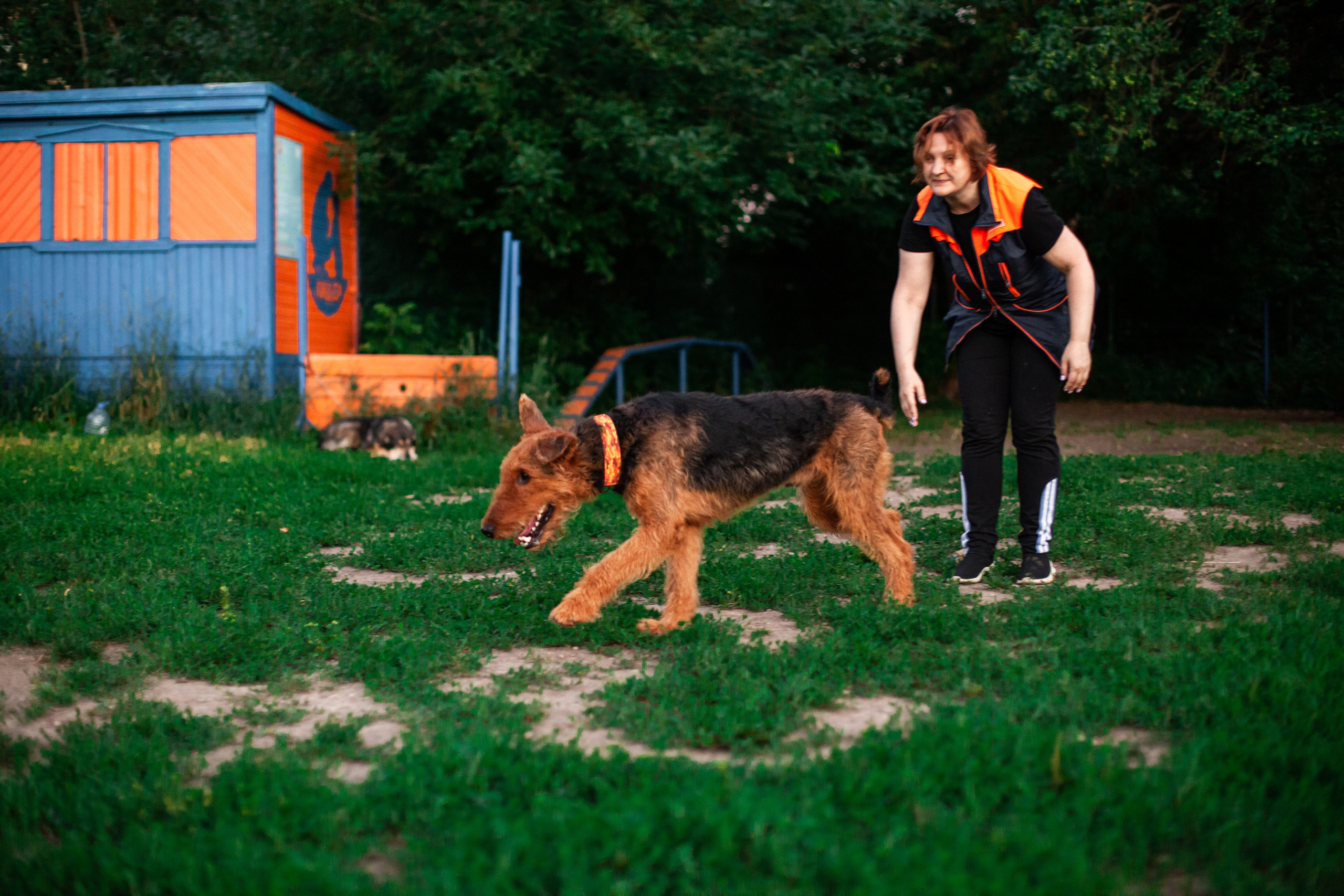 Занятие ЗКС+Выборка 2022. Фотограф-анималист Татьяна Степанова