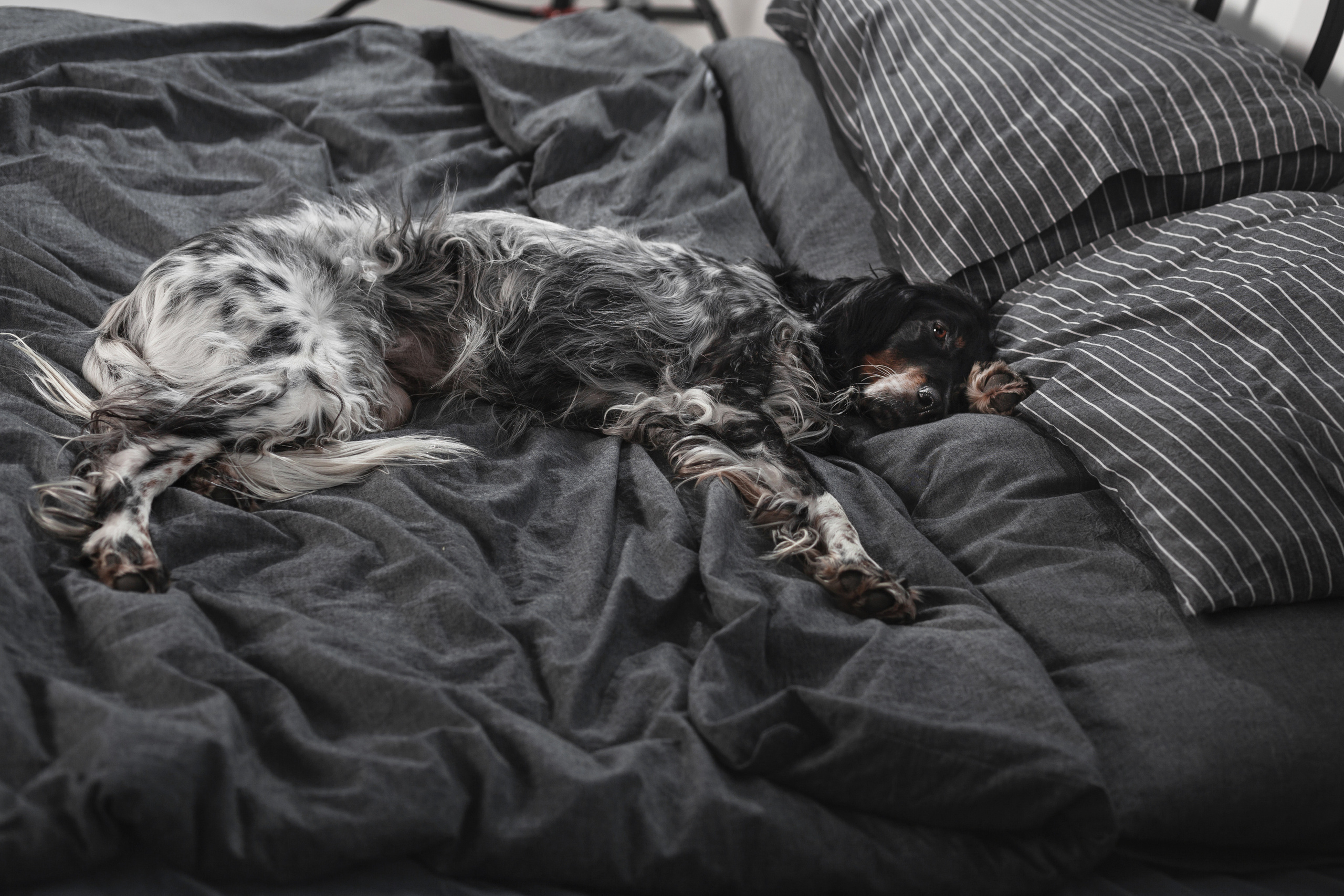 Света и Богдана. Фотограф-анималист Татьяна Степанова