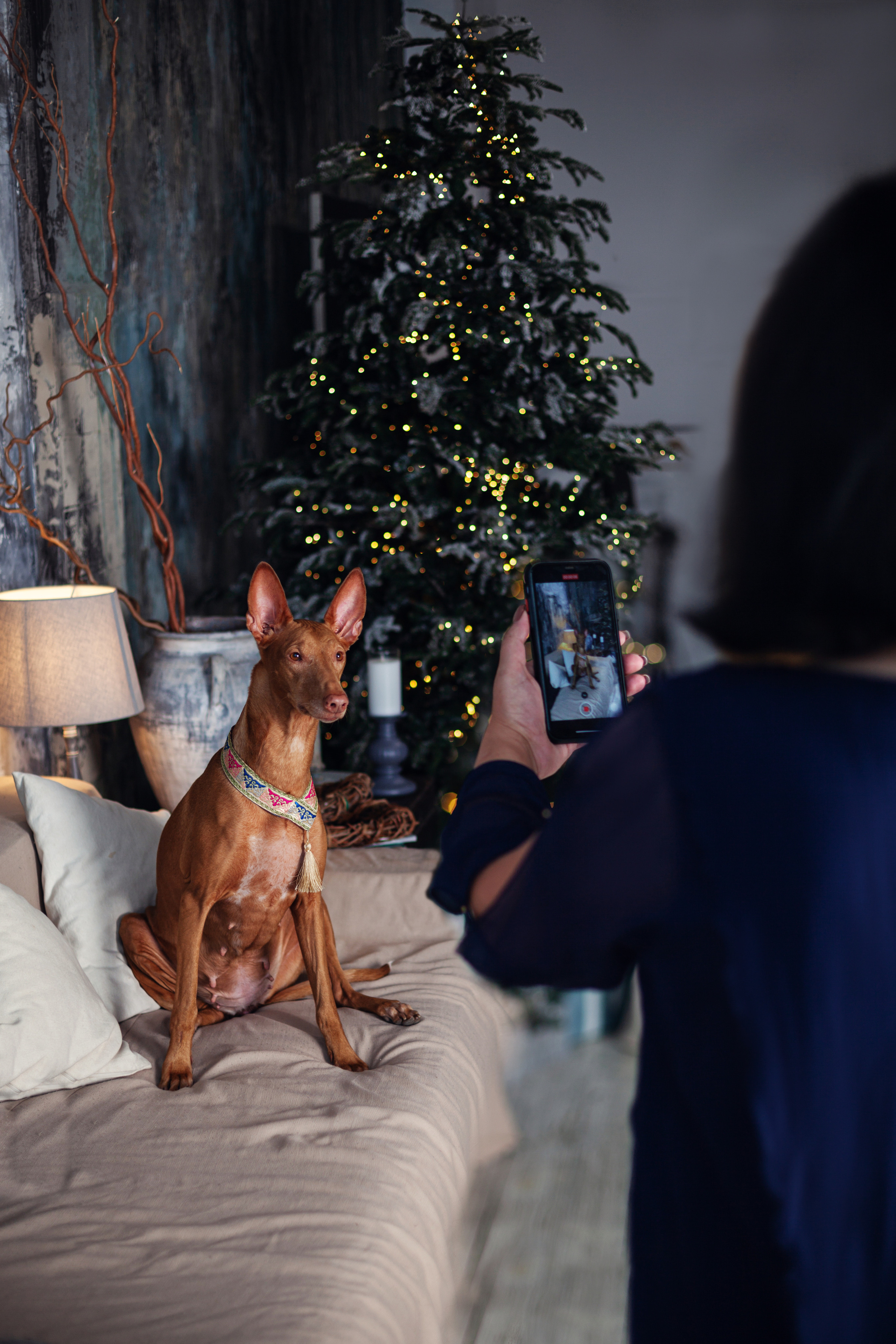 Юля и Мэри. Фотограф-анималист Татьяна Степанова