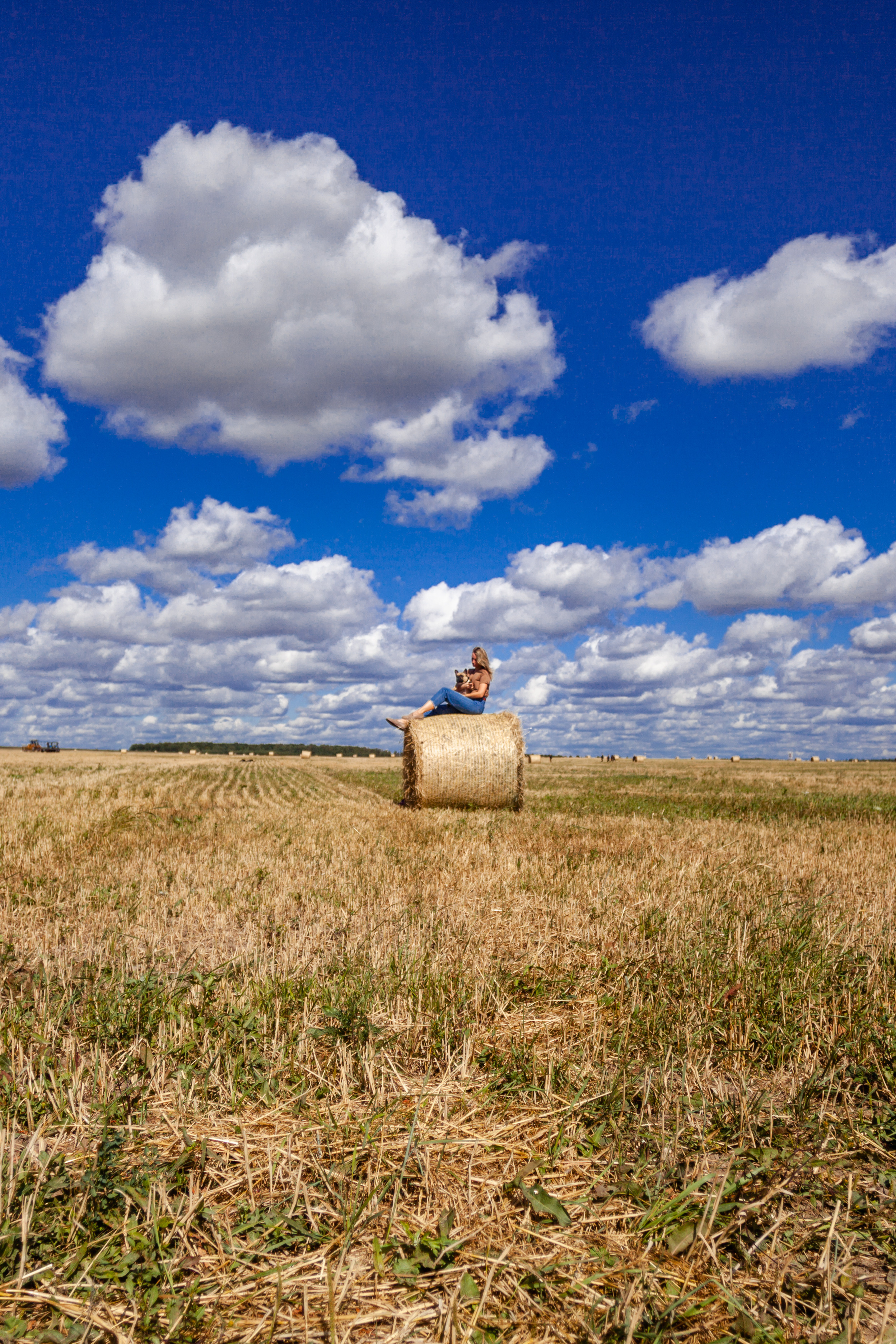 Коломна, стога и подсолнухи. Фотограф-анималист Татьяна Степанова