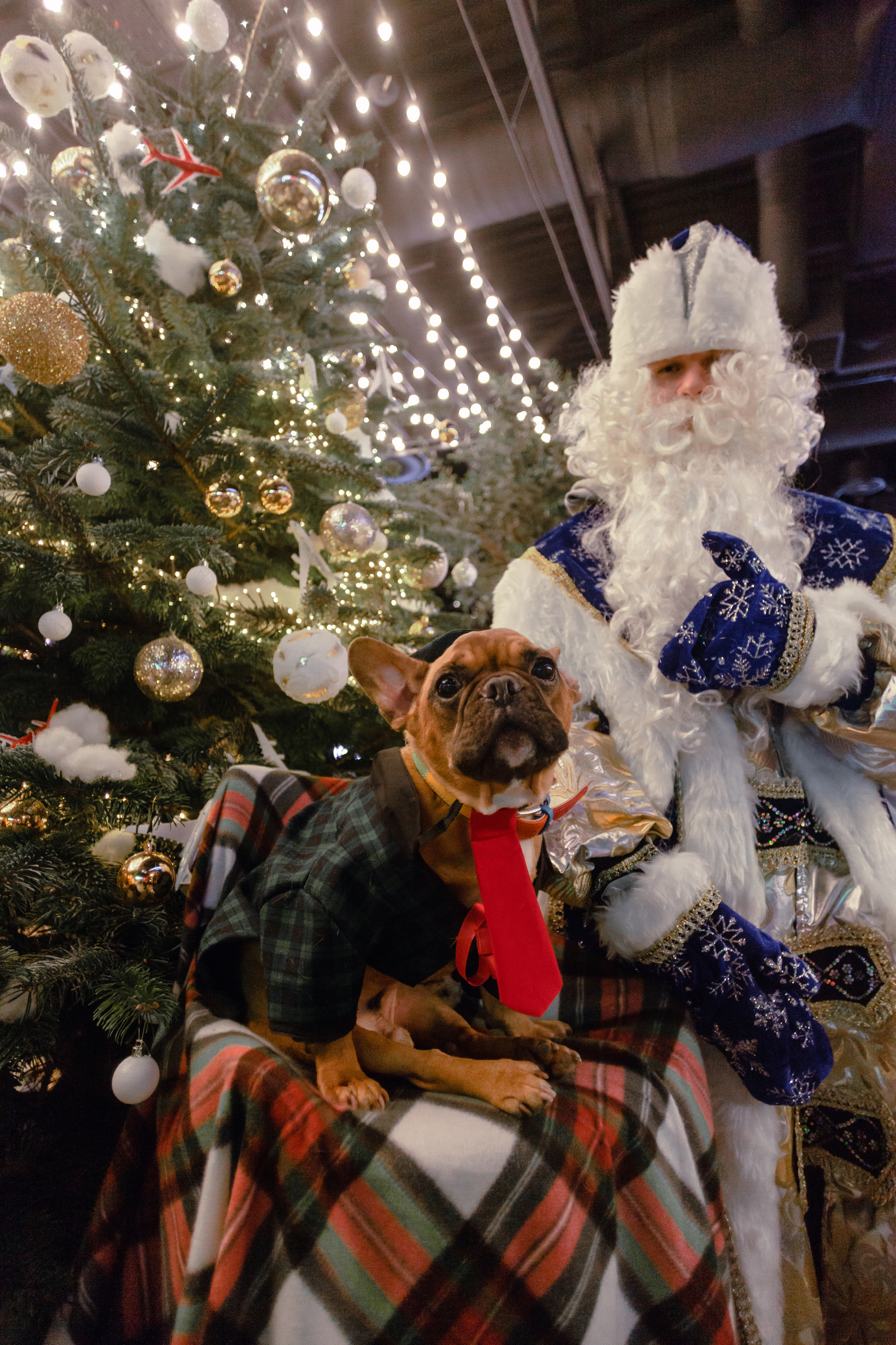 Бульелка 2022. Фотограф-анималист Татьяна Степанова