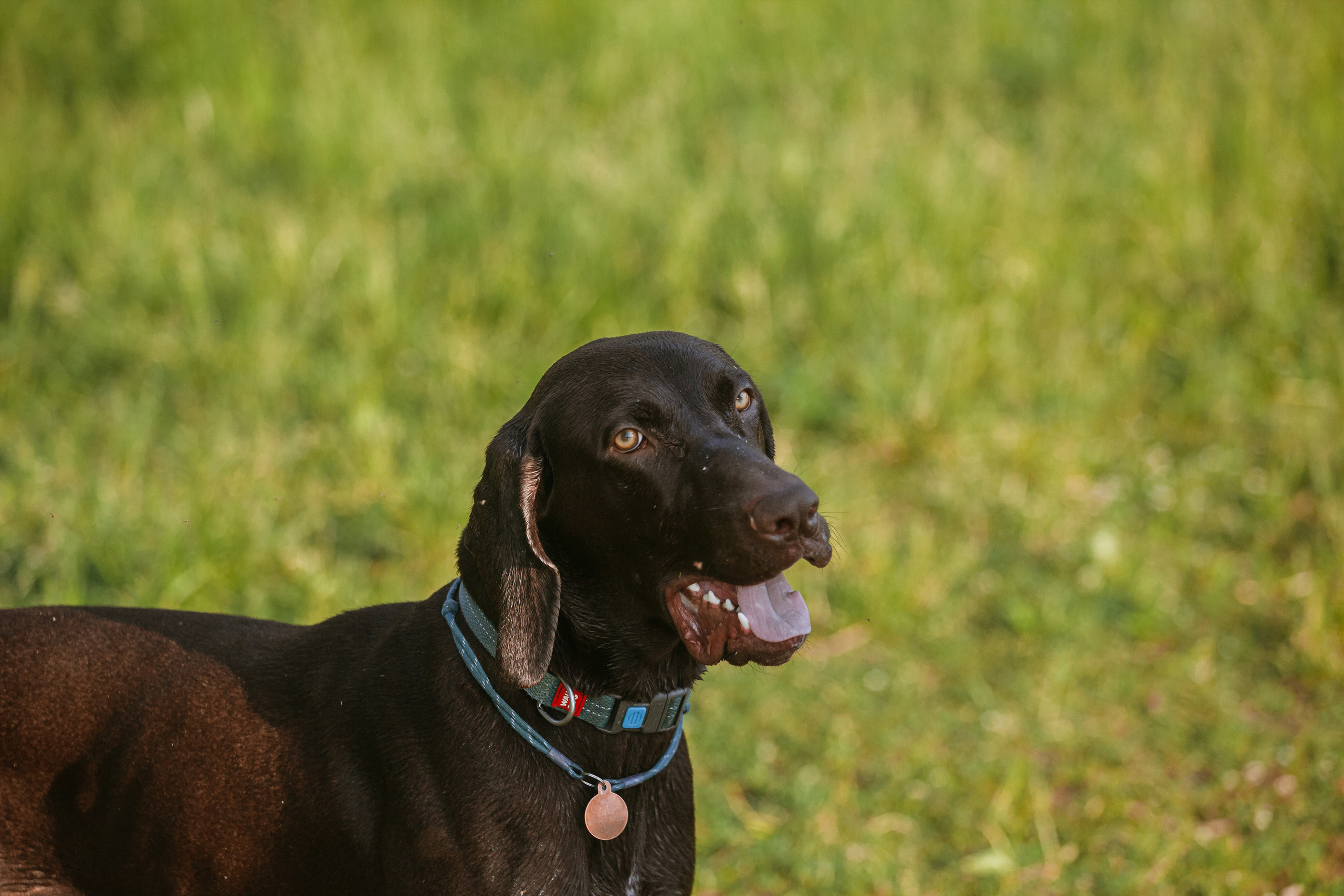 Рассветная съемка в ПКИО Северное Тушино. Фотограф-анималист Татьяна Степанова