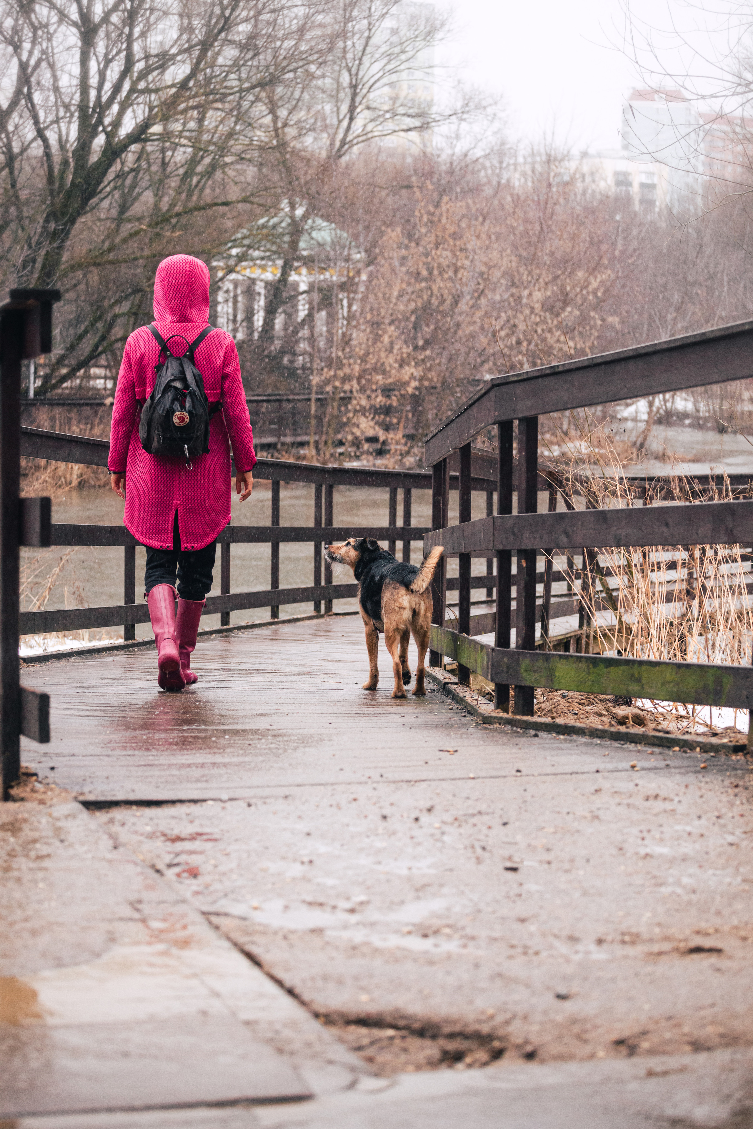 Лиза и Бренда. Фотограф-анималист Татьяна Степанова